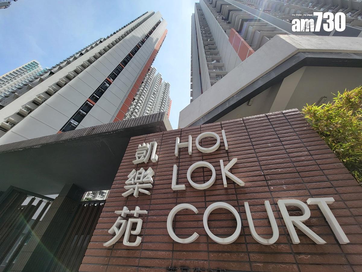 資助房屋樓價受壓!上半年買賣有70%屋苑跌價 最慘情瀉32%