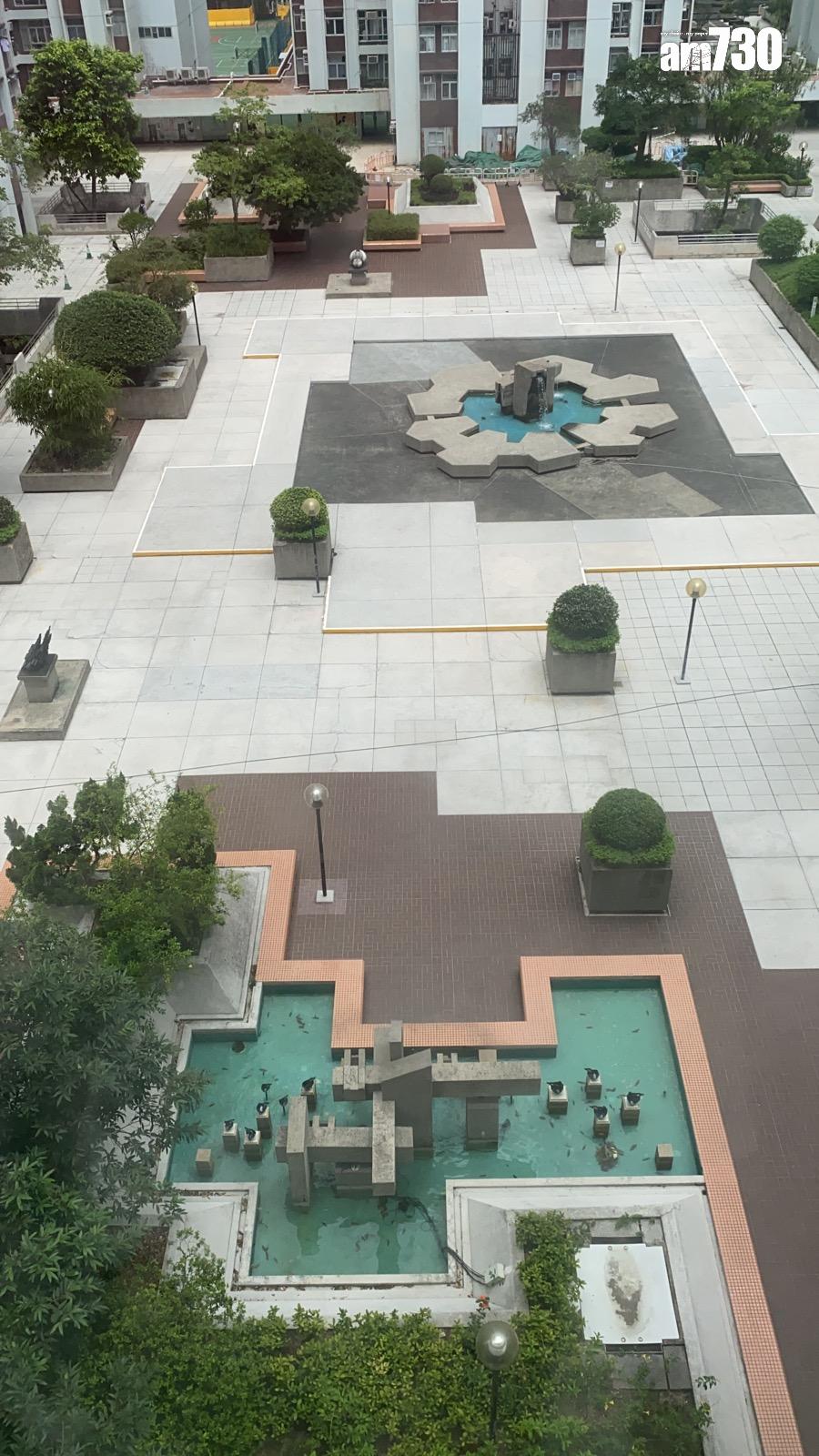 無樓睇用家照入市!太古城內園兩房「6字頭」有交易(有圖)|藍籌屋苑