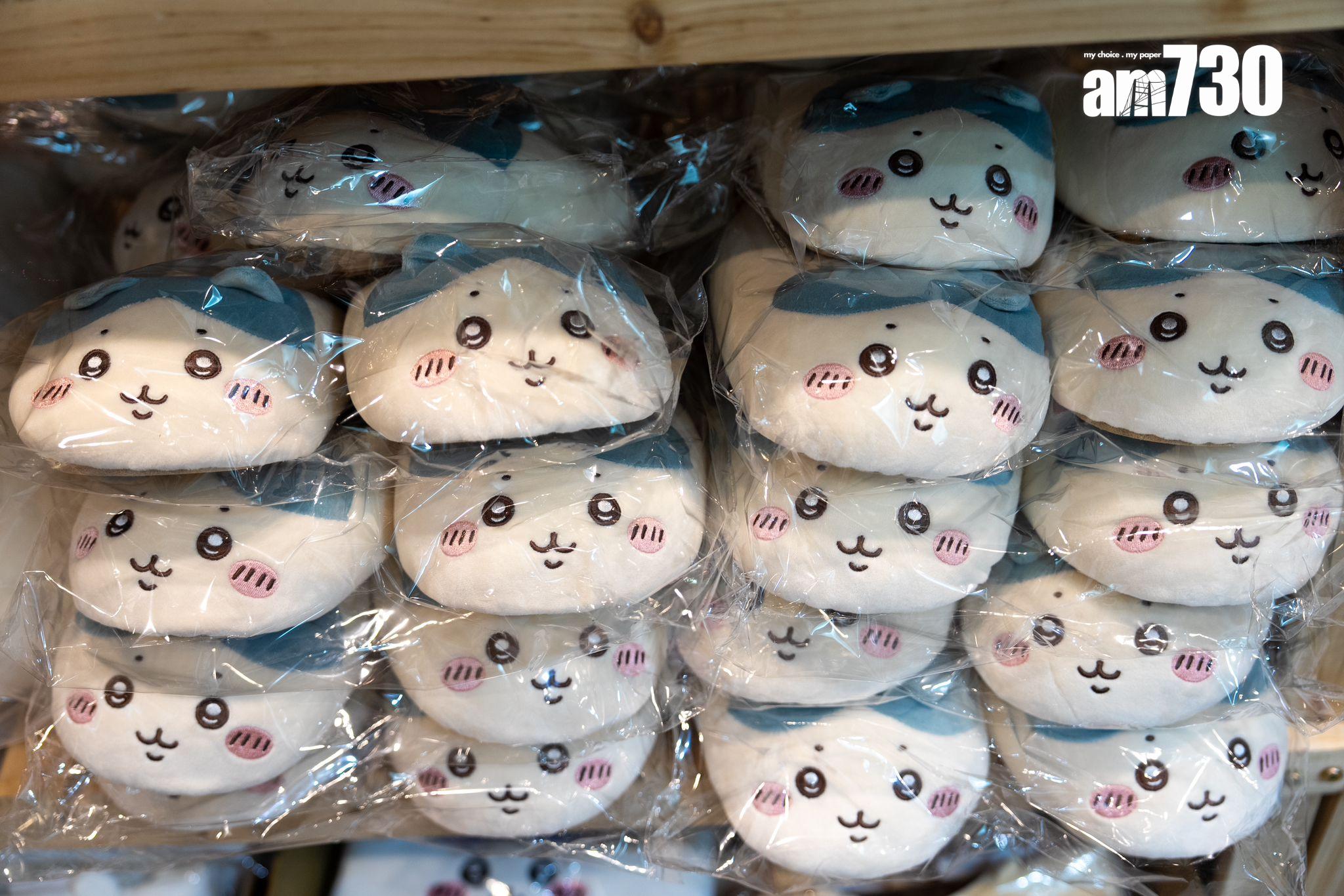 動漫節2024|動漫節明日開鑼 Cosplay區付費入場 展商不怕影響人流 (林靄怡攝)