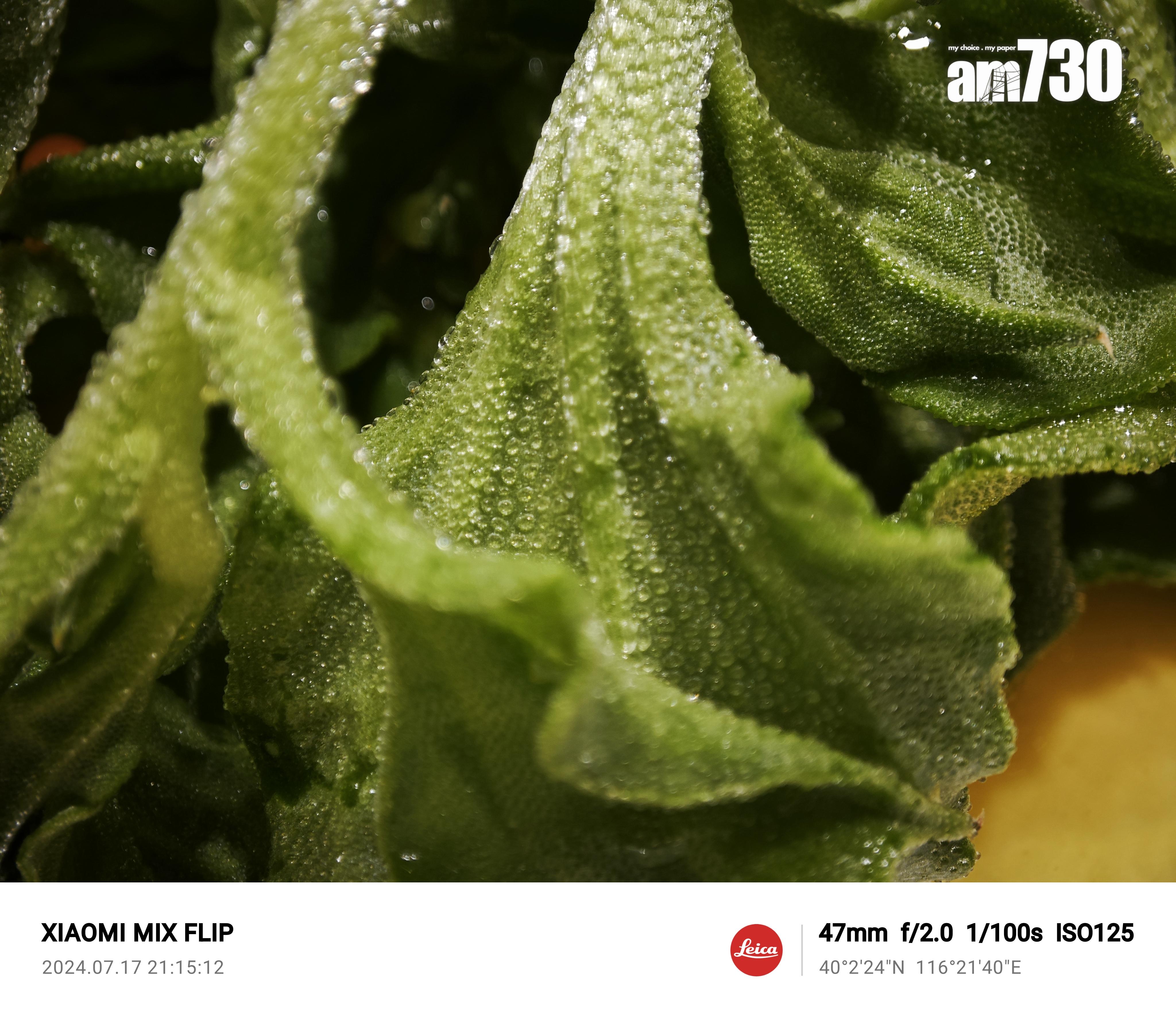 Xiaomi MIX Flip微距拍攝可拍出細緻質感。