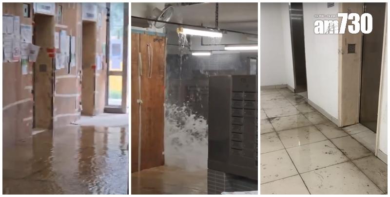 啟鑽苑5座啟湖閣上演「水舞間」(讀者提供)