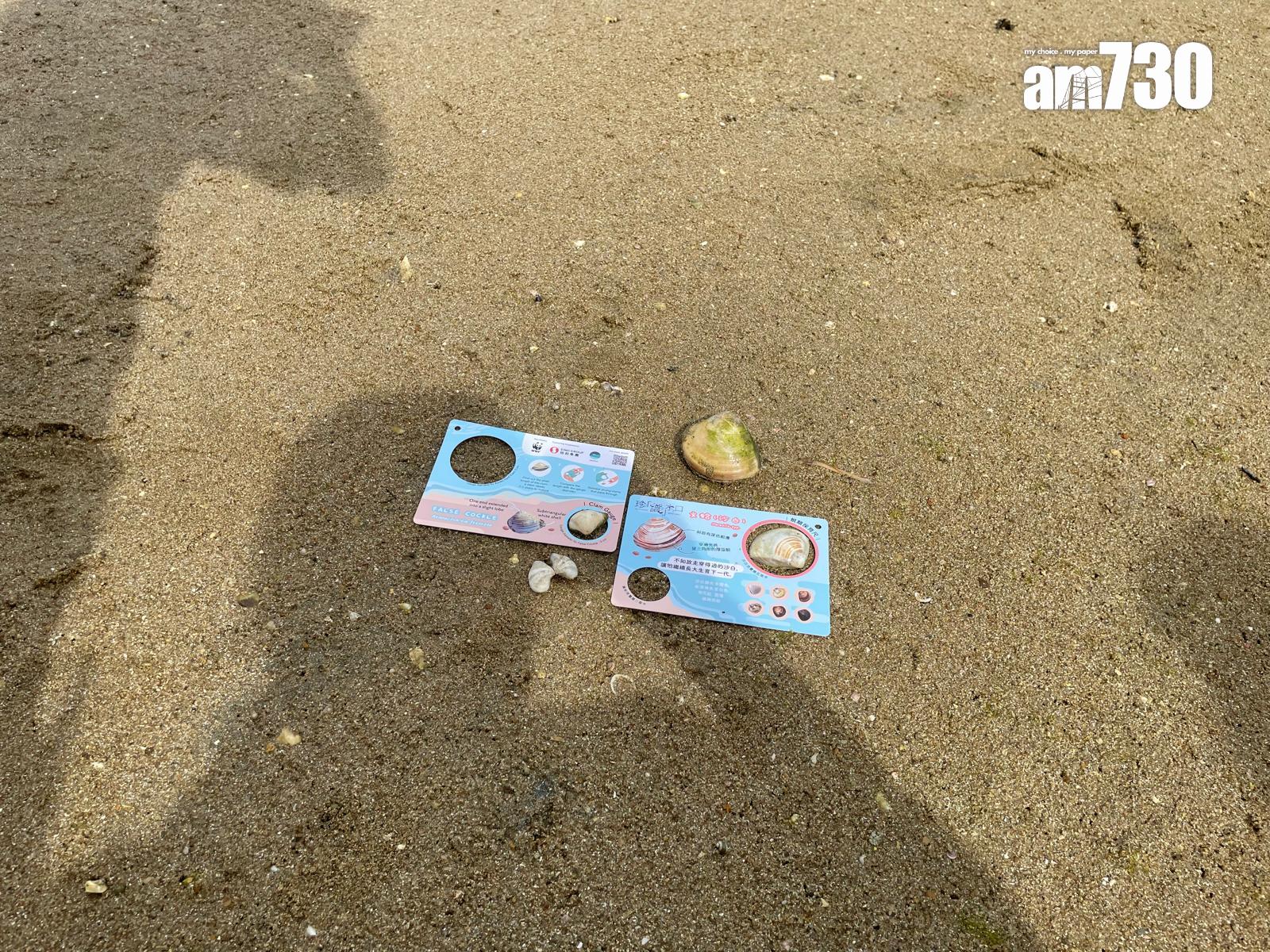 巿民可利蜆類保育尺量度蜆隻大小,避免將細蜆帶走。(陳家莉攝)