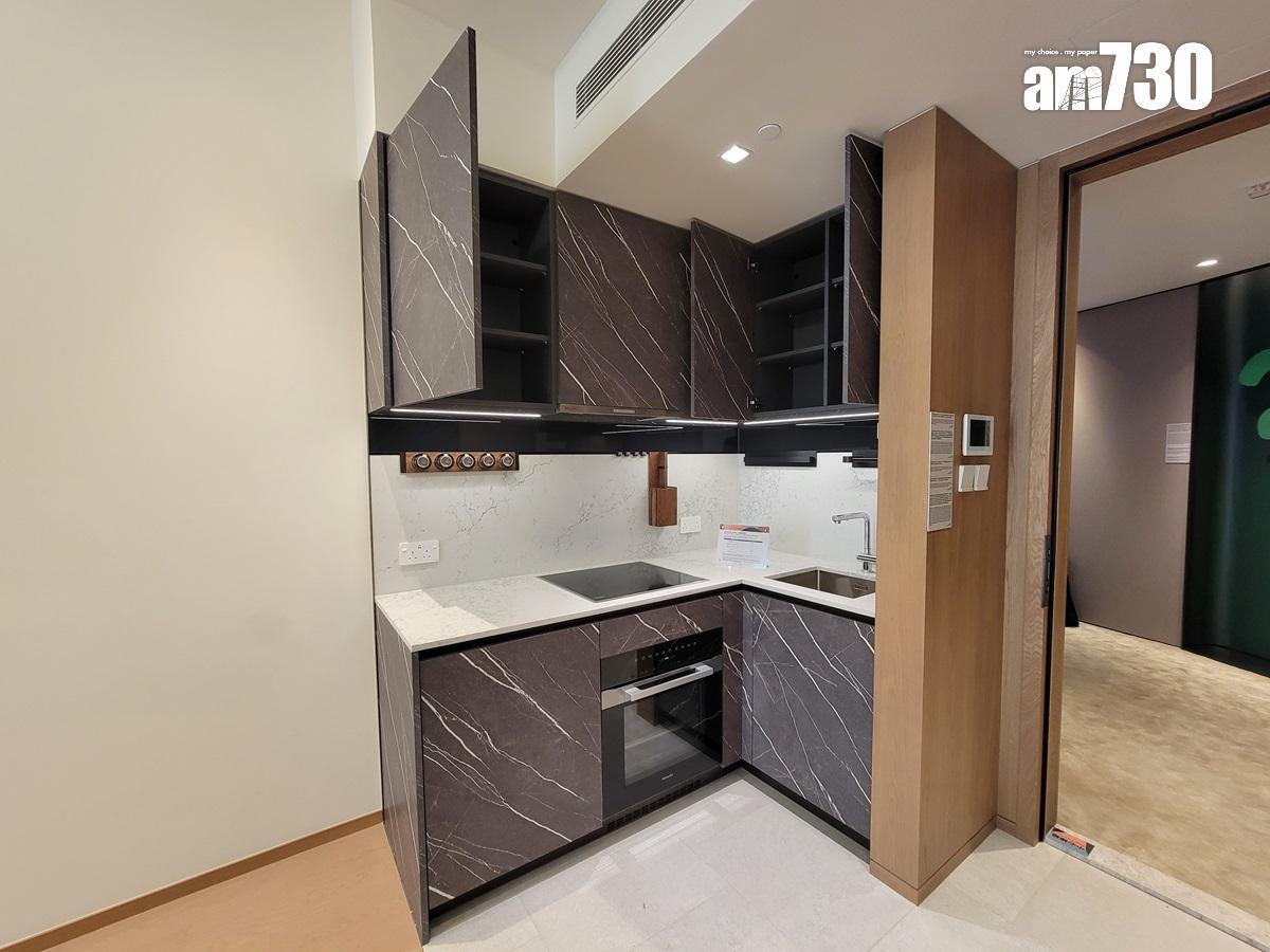 朗賢峯IIA期示範單位|482呎兩房融合Japandi理念 睡房改作半開放式書房|多圖有片