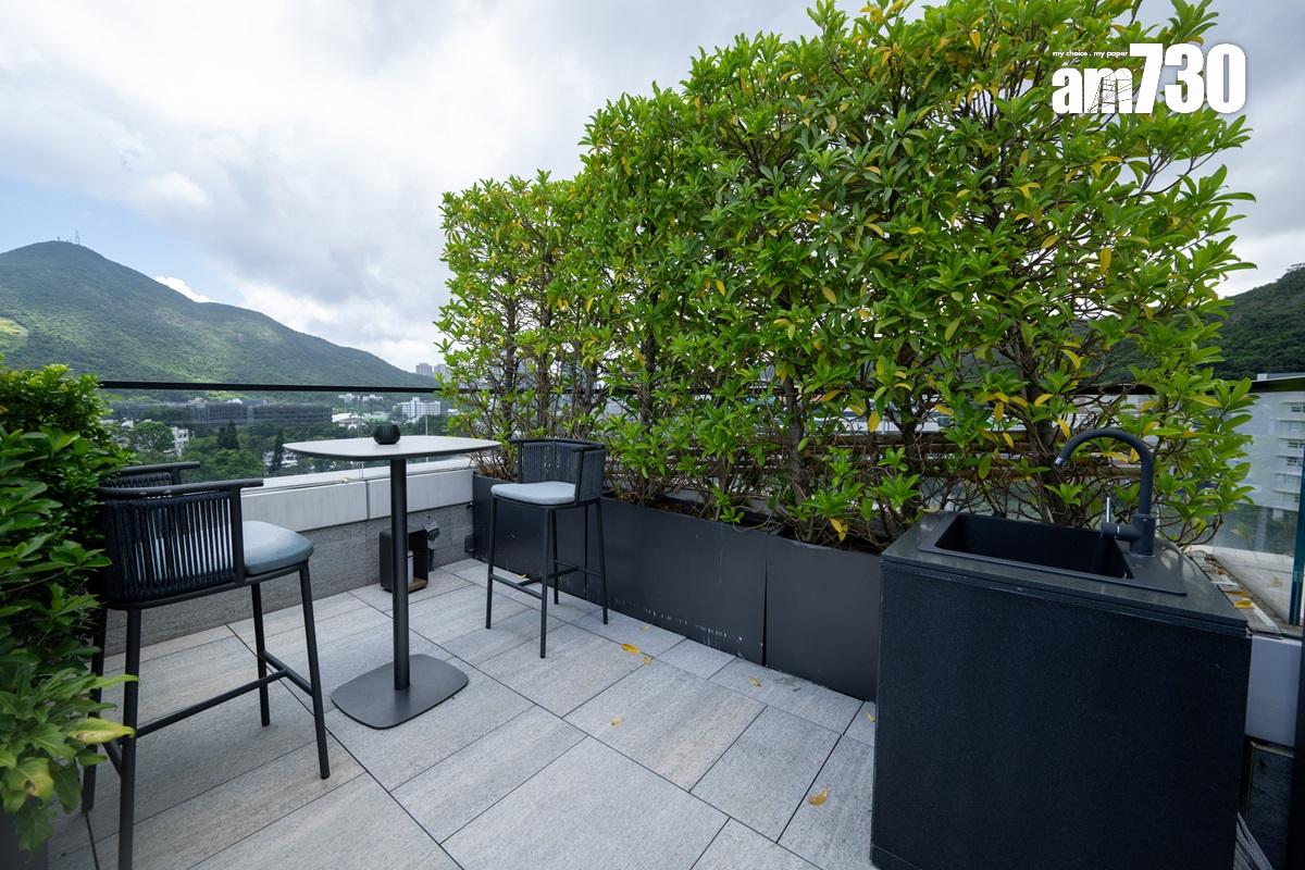 南天第示範單位|近4500呎現樓洋房首曝光 體現藝術融入生活(多圖)|壽臣山豪宅