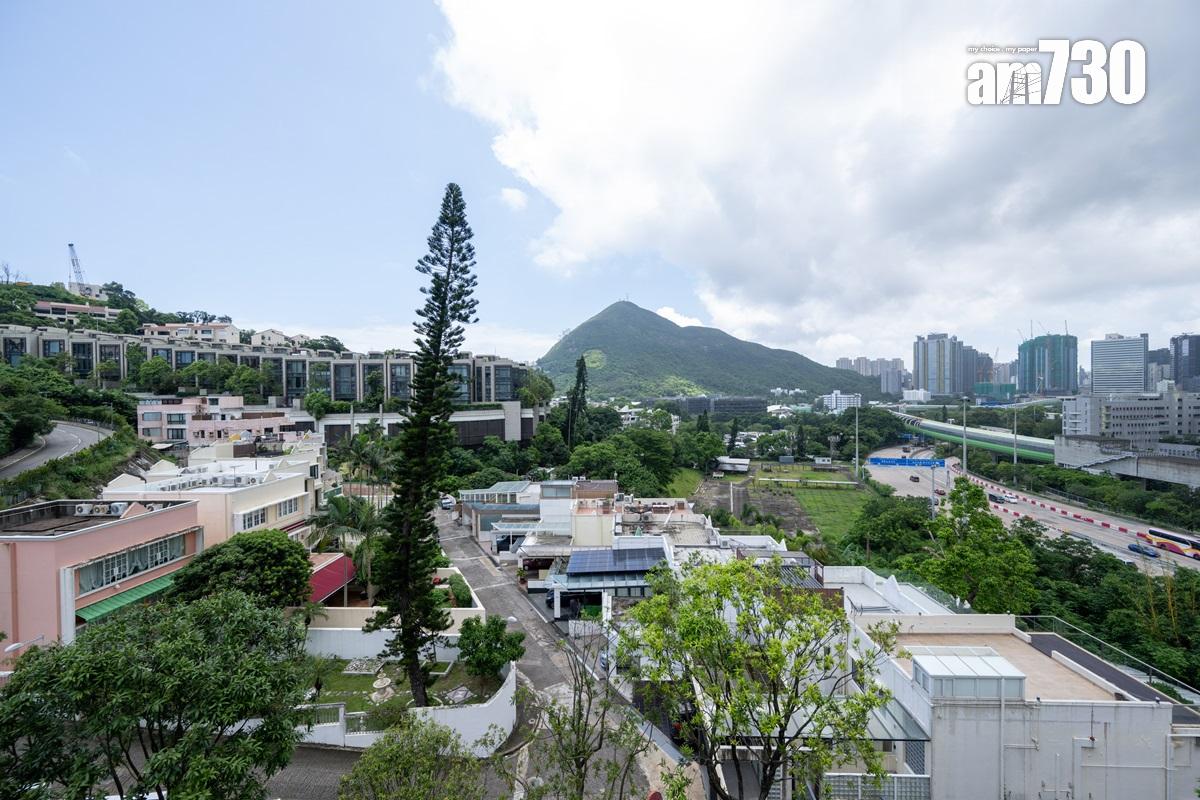 南天第示範單位|近4500呎現樓洋房首曝光 體現藝術融入生活(多圖)|壽臣山豪宅