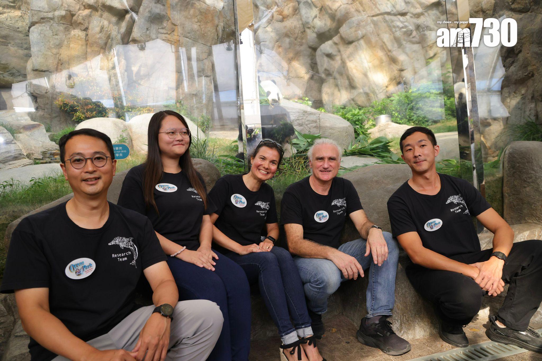 海洋公園研究大熊貓安安生前活動軌跡,圖為大熊貓樂樂(吳康琦攝)