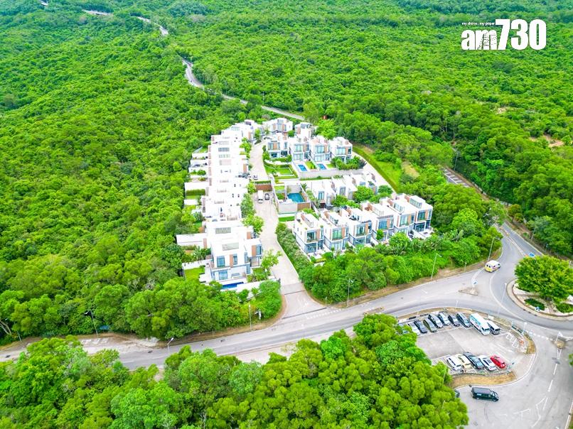 九龍站凱旋門物業組合及大嶼山Whitesands洋房招標出售|有相睇