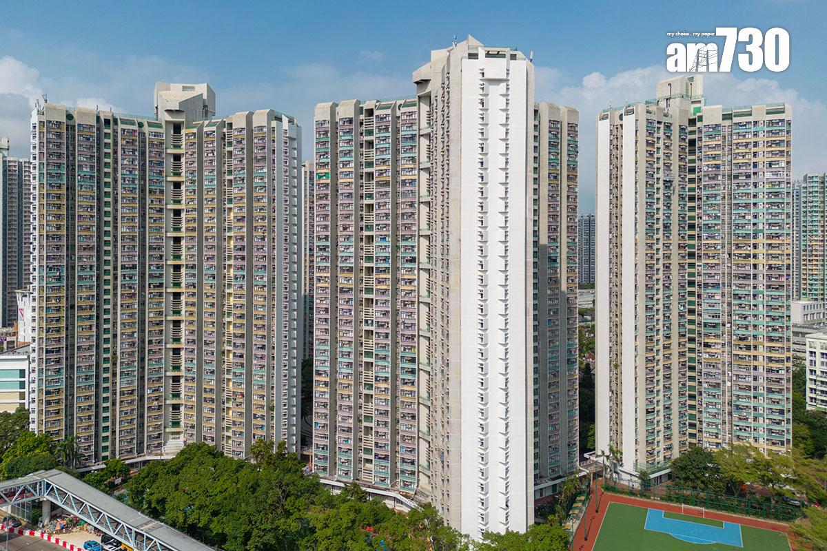 打擊濫用公屋近年已見成效。(資料圖片)