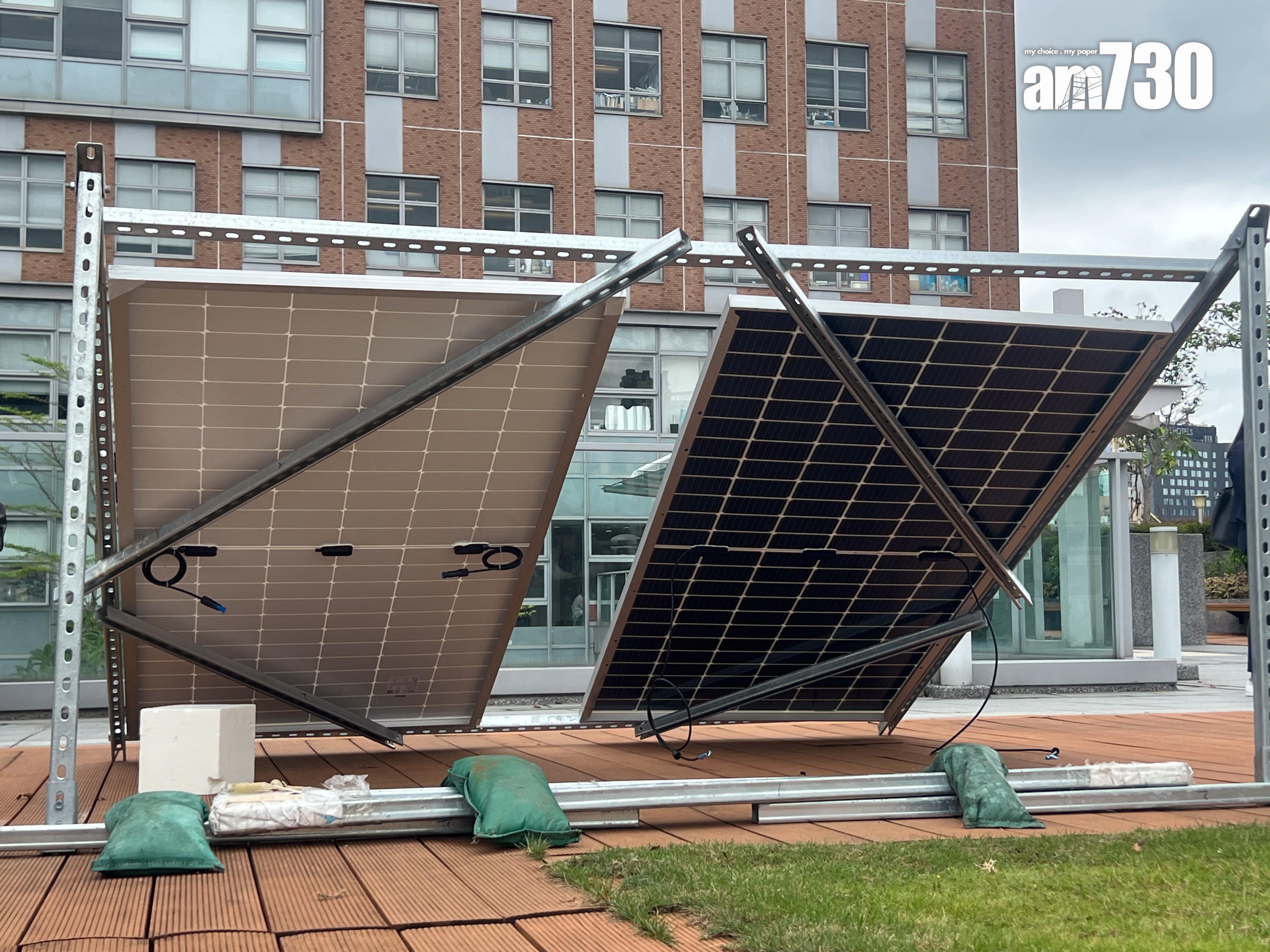 雙面太陽光伏板發電量較單面沒有塗層提高30%至50%。(李景玉攝)