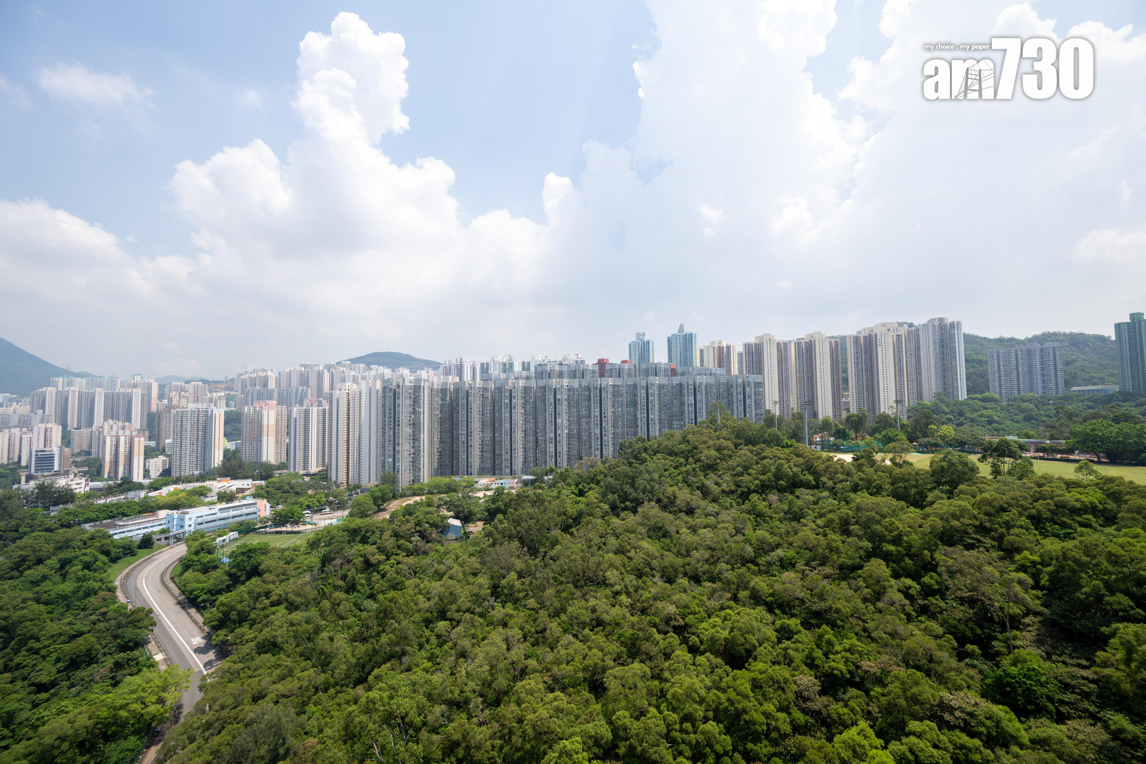 KOKO ROSSO和KOKO MARE兩房現樓示範單位有得睇 梗廚設計適合家庭客(多圖有片)|藍田新盤