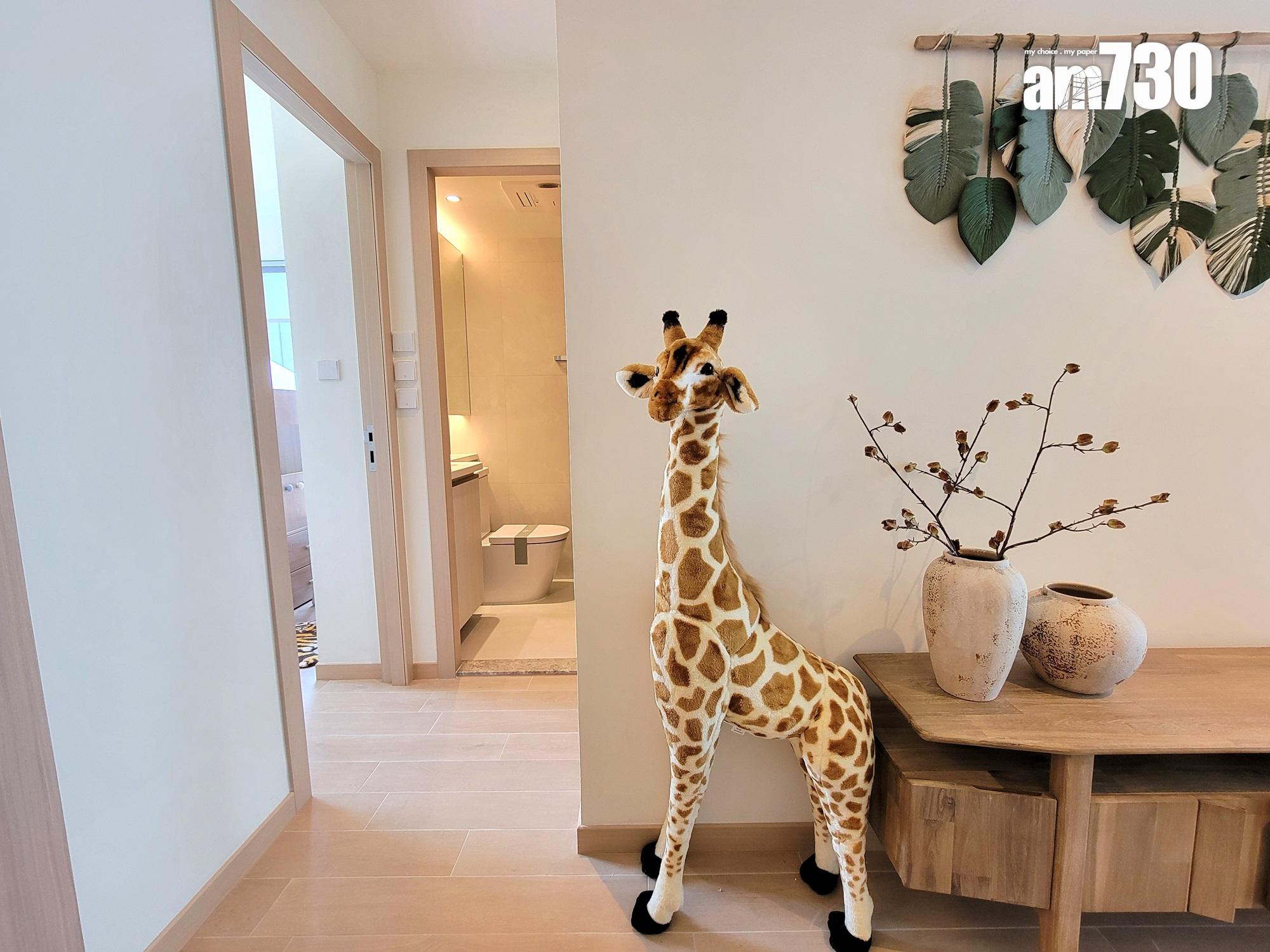 尚柏示範單位|488呎現樓兩房 綠野原林設計主題 適合有小朋友家庭(多圖有片)|元朗新盤