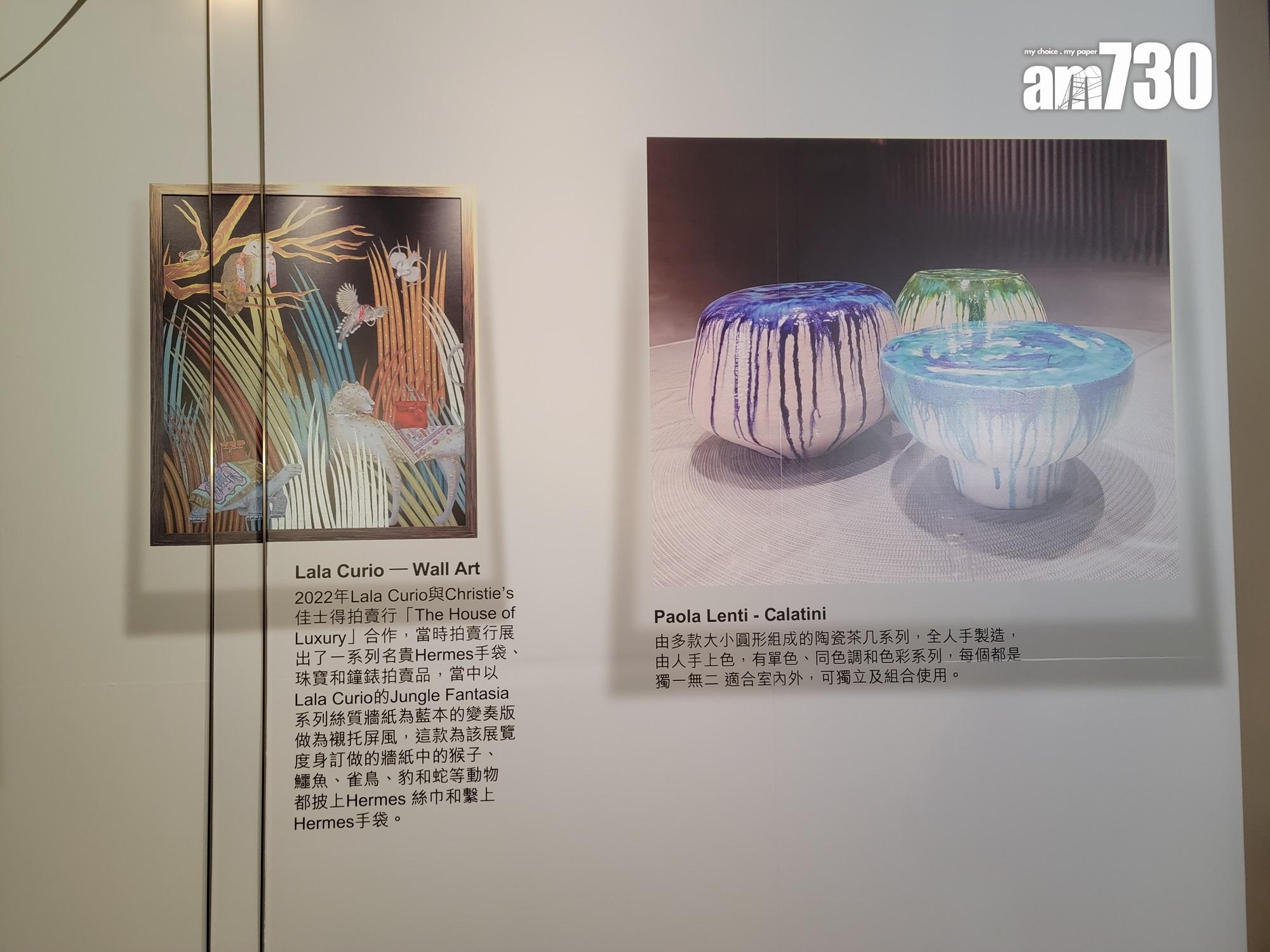 壽臣山南天第4004呎現樓洋房亮相!室內外和諧融合 打造現代奢華|多圖有片