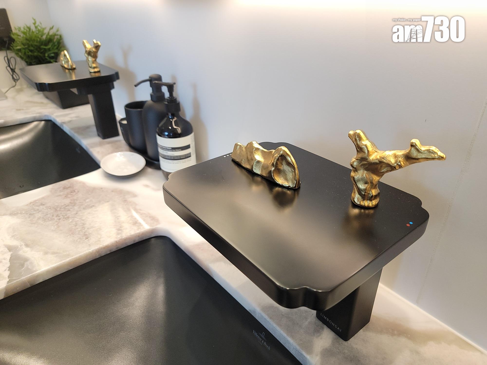 壽臣山南天第4004呎現樓洋房亮相!室內外和諧融合 打造現代奢華|多圖有片