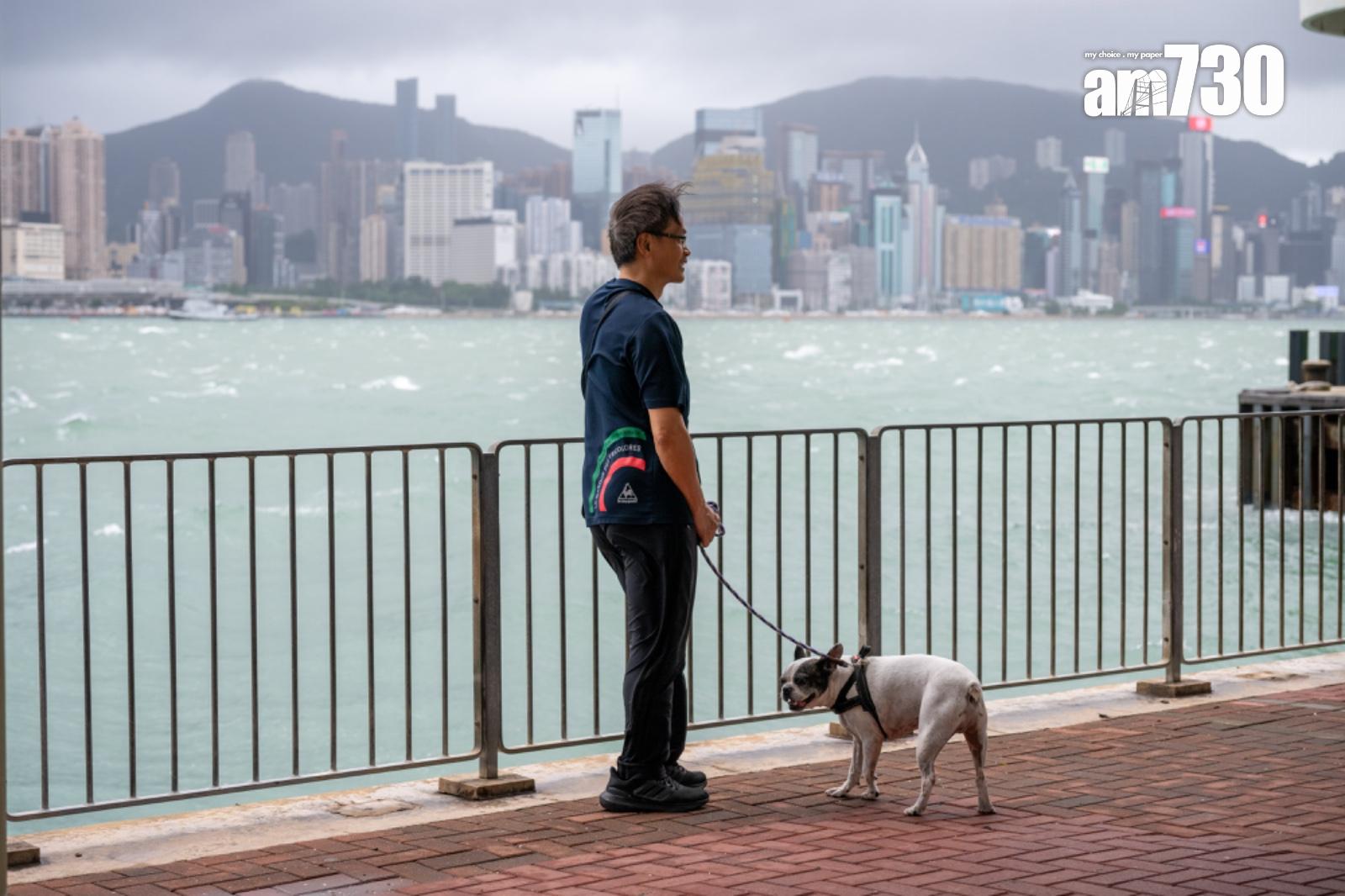 摩羯|打風期間,有市民在岸邊遛狗。(陳奕釗攝)