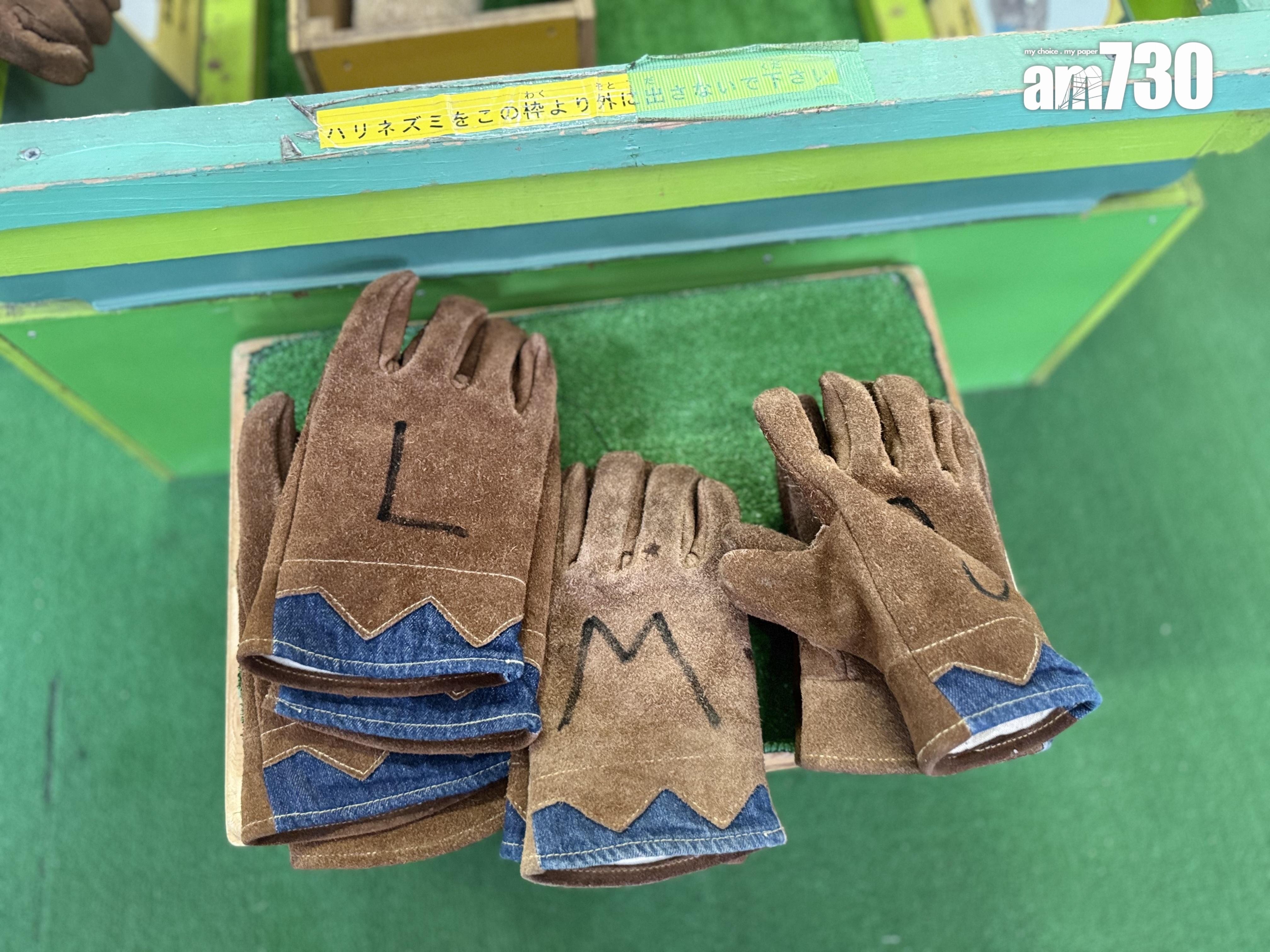 モルモットHouse