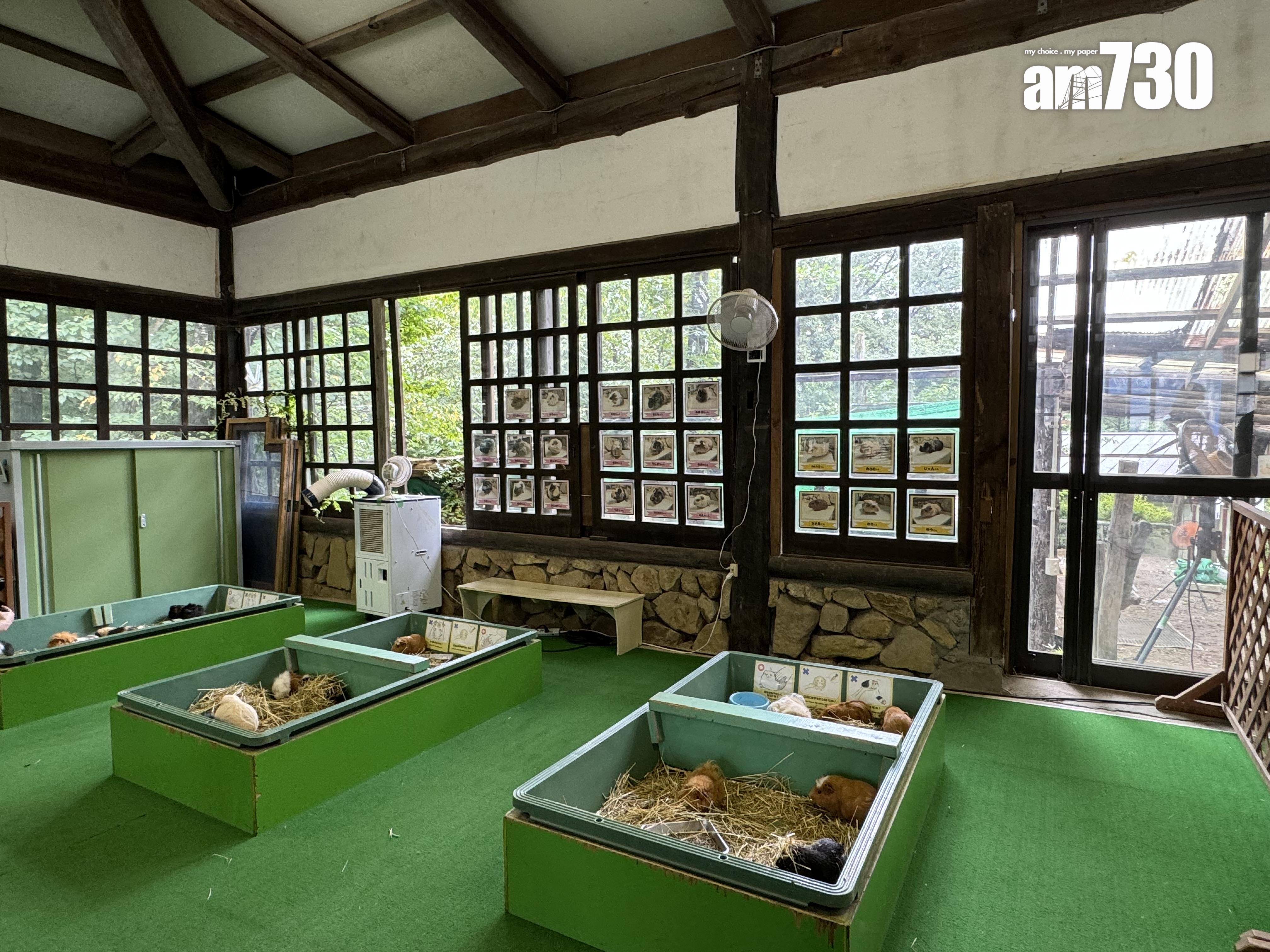 モルモットHouse