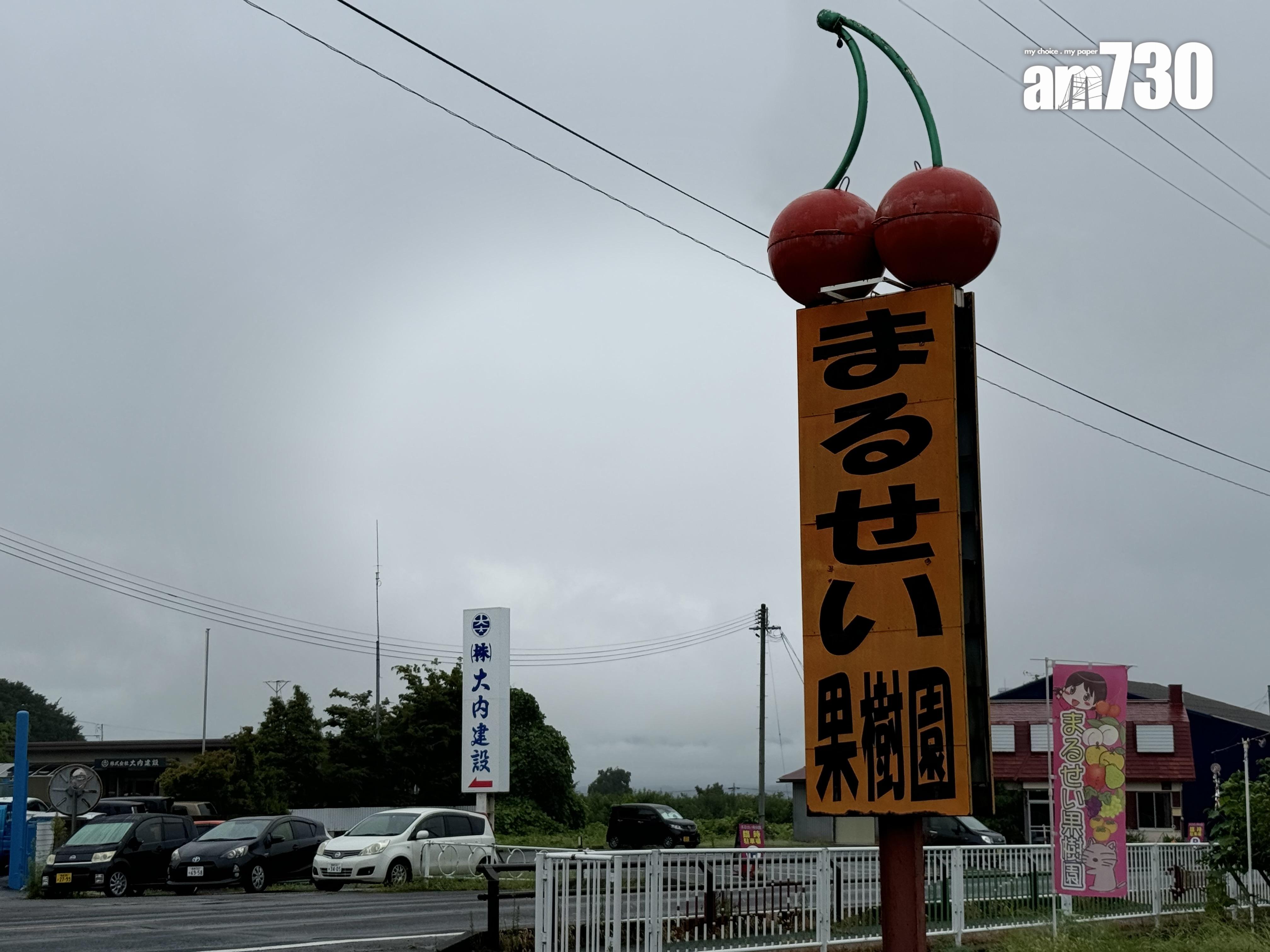 福島Marusei果園水蜜桃任摘任食放題