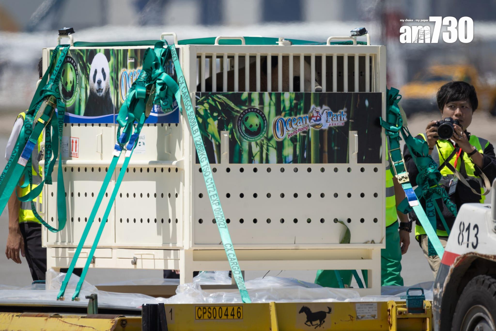 大熊貓|安安可可抵港專車送海洋公園 陳國基:將更多歡樂溫馨帶給市民 (更新)