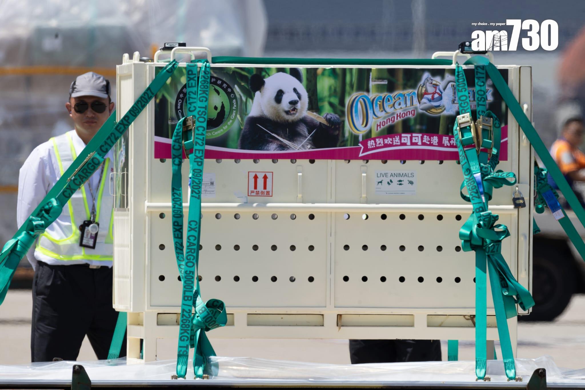 大熊貓|安安可可抵港專車送海洋公園 陳國基:將更多歡樂溫馨帶給市民 (更新)