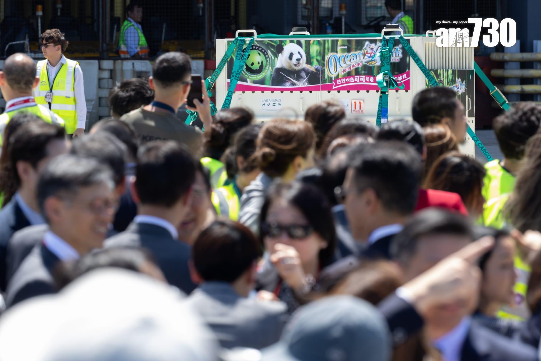 大熊貓|安安可可抵港專車送海洋公園 陳國基:將更多歡樂溫馨帶給市民 (更新)