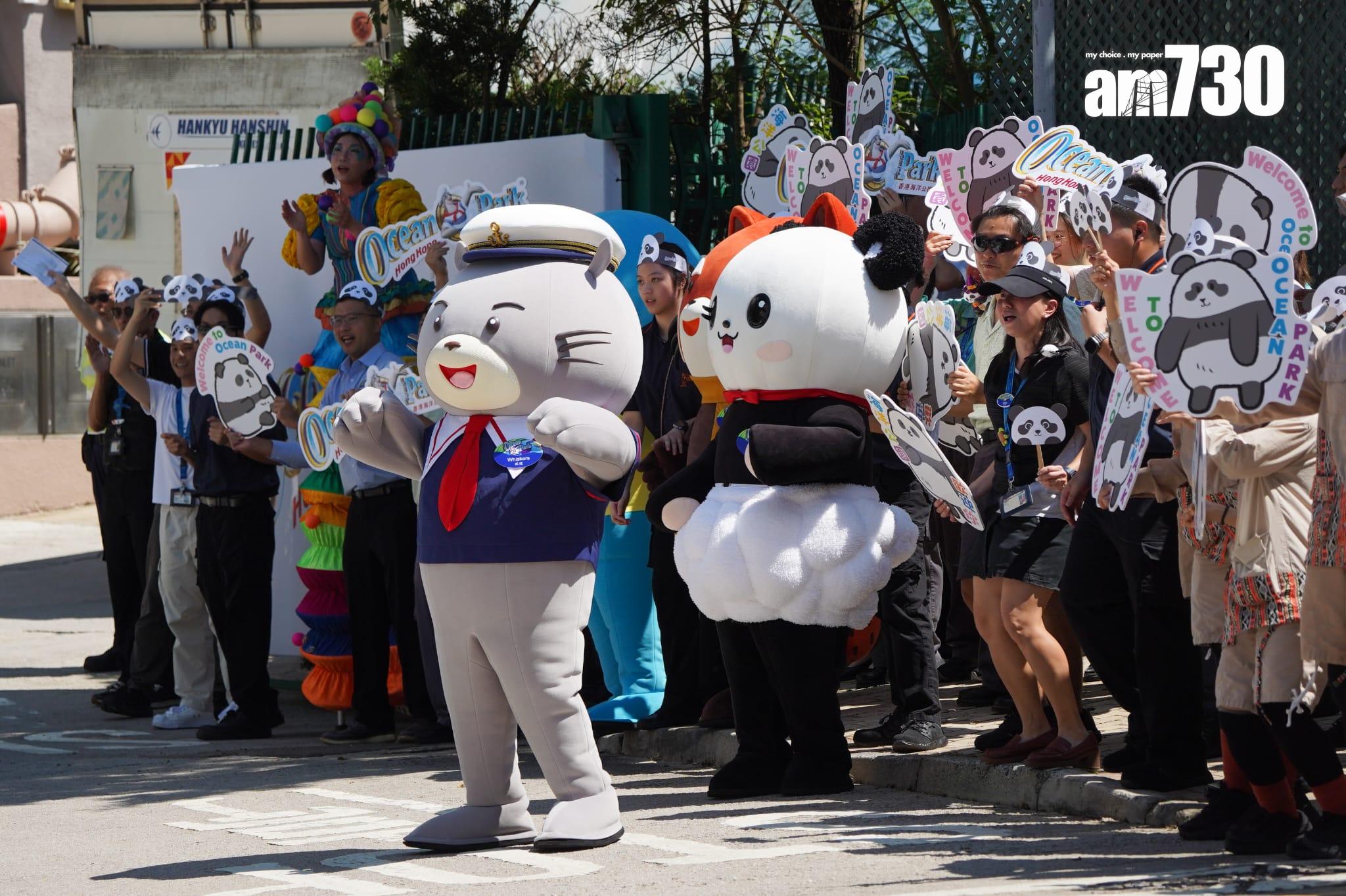 大熊貓|安安可可抵海洋公園隔離檢疫 龐建貽:有足夠人手照顧6隻大熊貓 (更新)