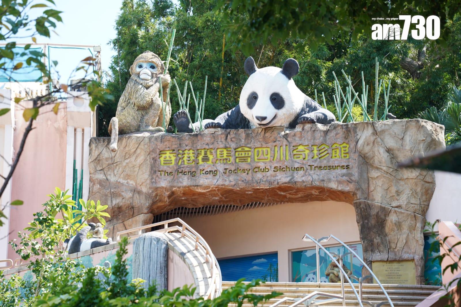 大熊貓|安安可可抵海洋公園隔離檢疫 龐建貽:有足夠人手照顧6隻大熊貓 (更新)