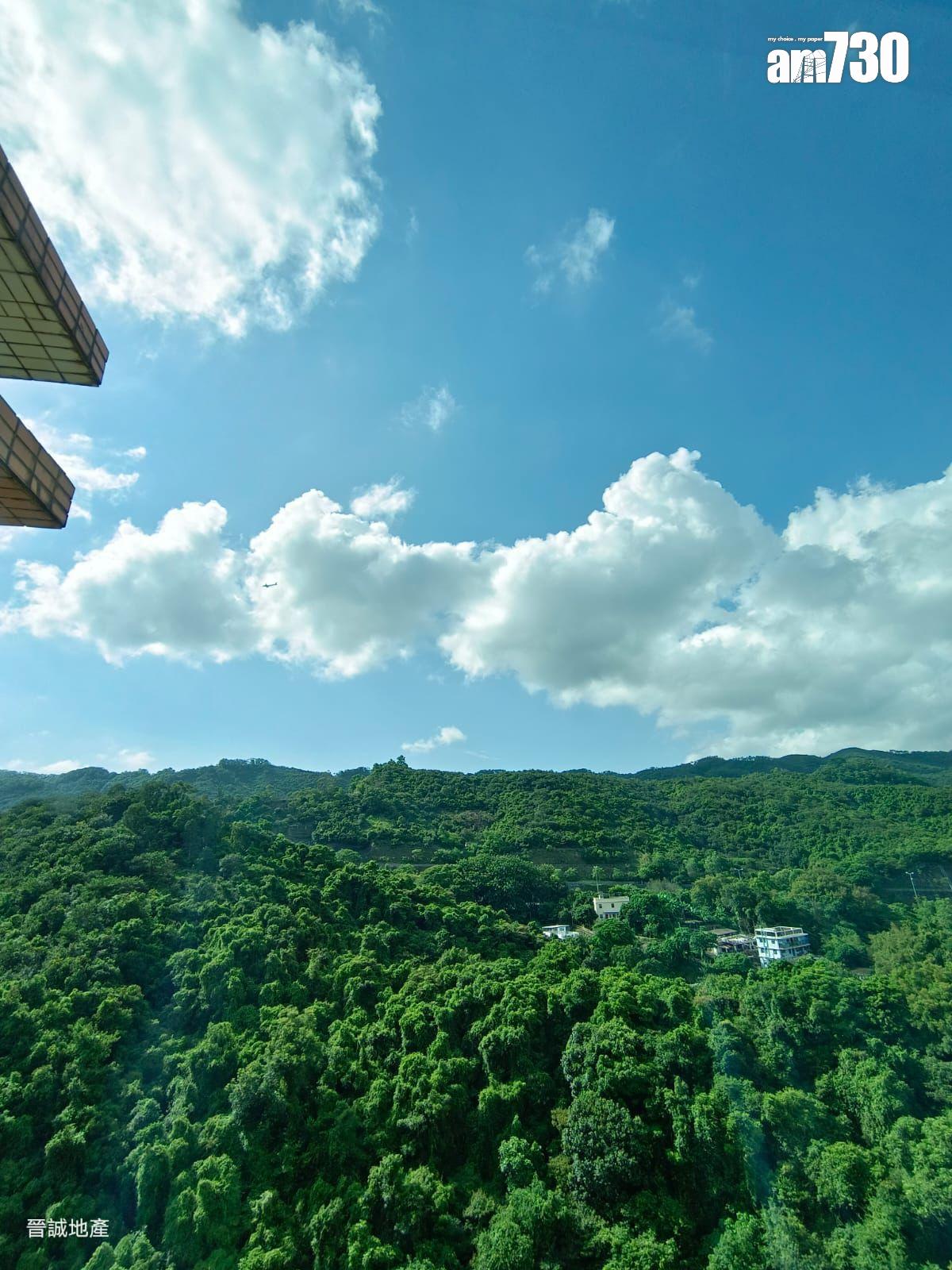 深井浪翠園業主移民賣兩房 呎價失9千 外區客入市築愛巢 (有圖)|二手樓成交