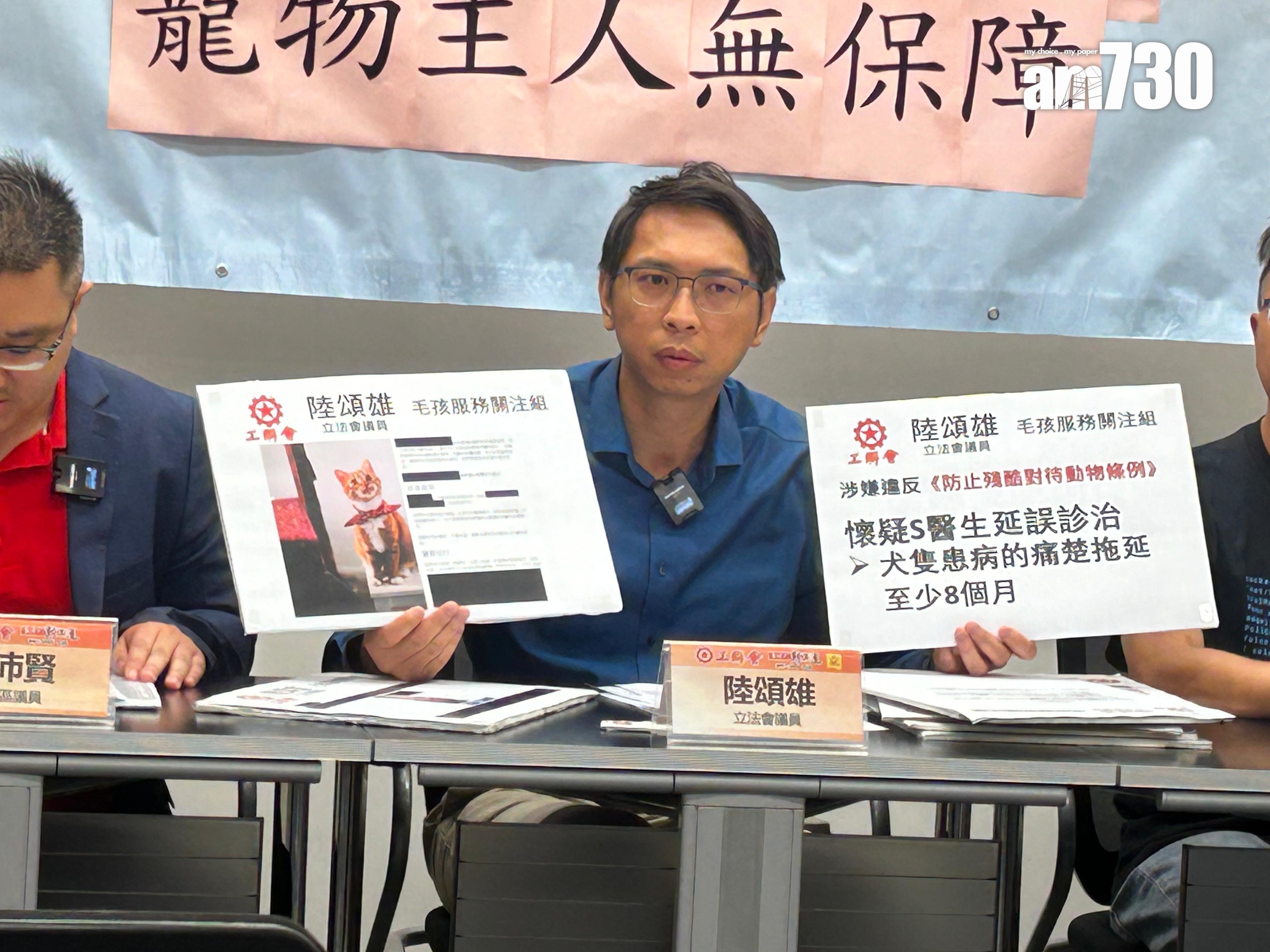 獸醫聲稱已清除腫瘤被揭僅抽組織化驗 主人質疑居心何在 (陳芷晴攝)