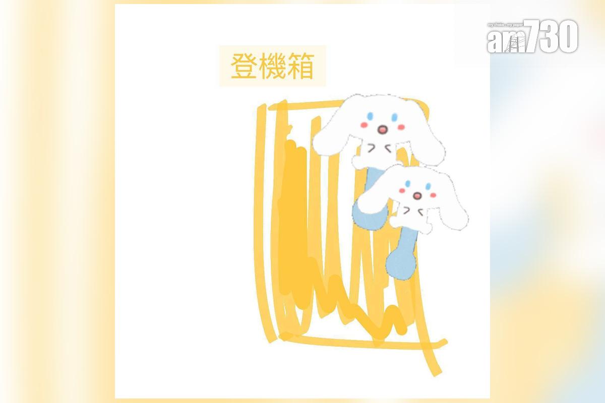 旅客分享在機場巴士遺失行李的經過,附上其行李喼的外貌示意圖。(Threads圖片)