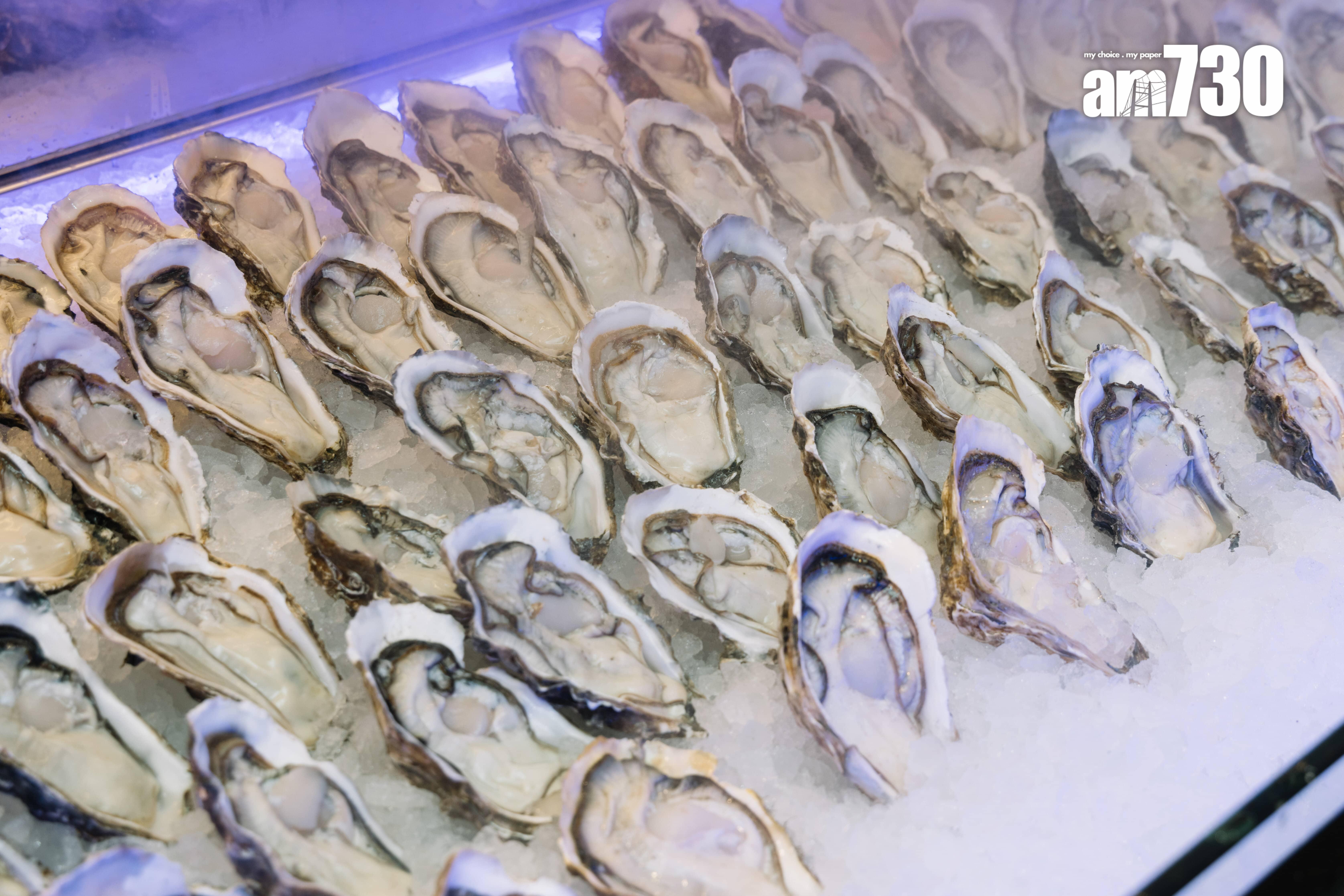 火鍋配料焦點離不開3+級台山生蠔,頗大隻有肉地。