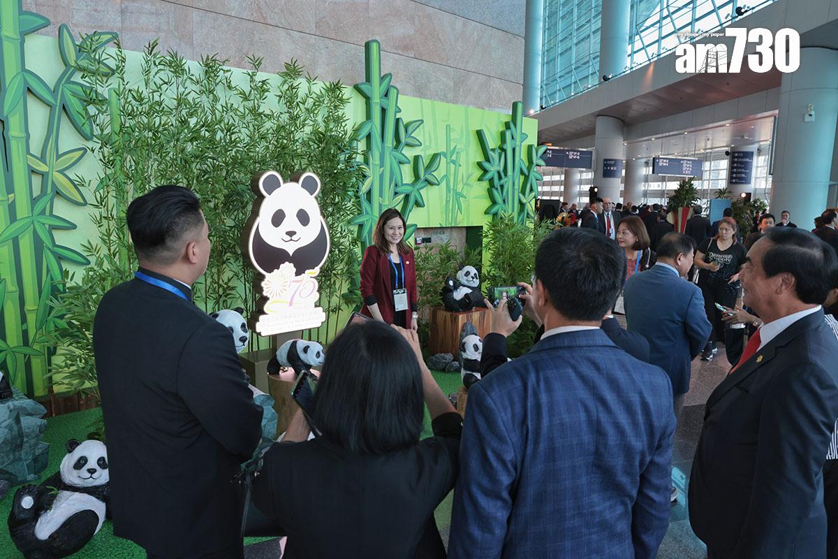 國慶酒會現場布滿熊貓元素。(中通社)