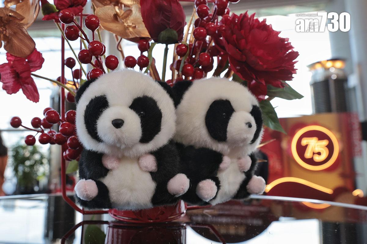 國慶酒會現場布滿熊貓元素。(中通社)