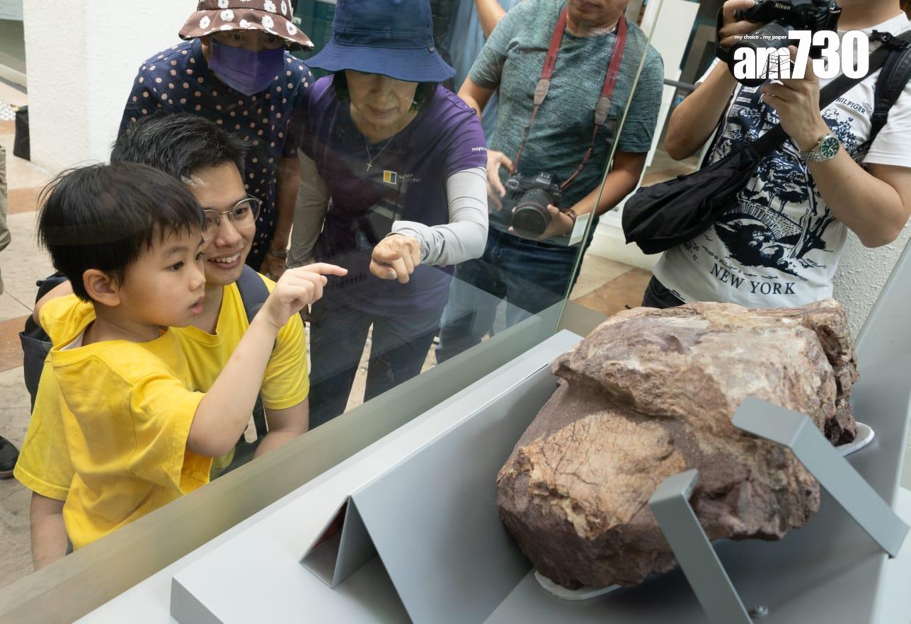 香港恐龍化石|專家料在荔枝莊及八仙嶺有機會找到恐龍化石