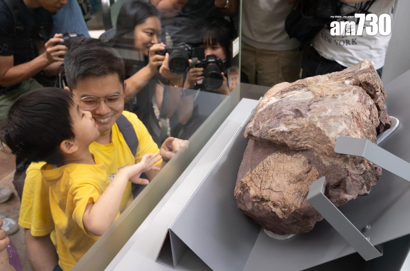 香港恐龍化石|專家料在荔枝莊及八仙嶺有機會找到恐龍化石