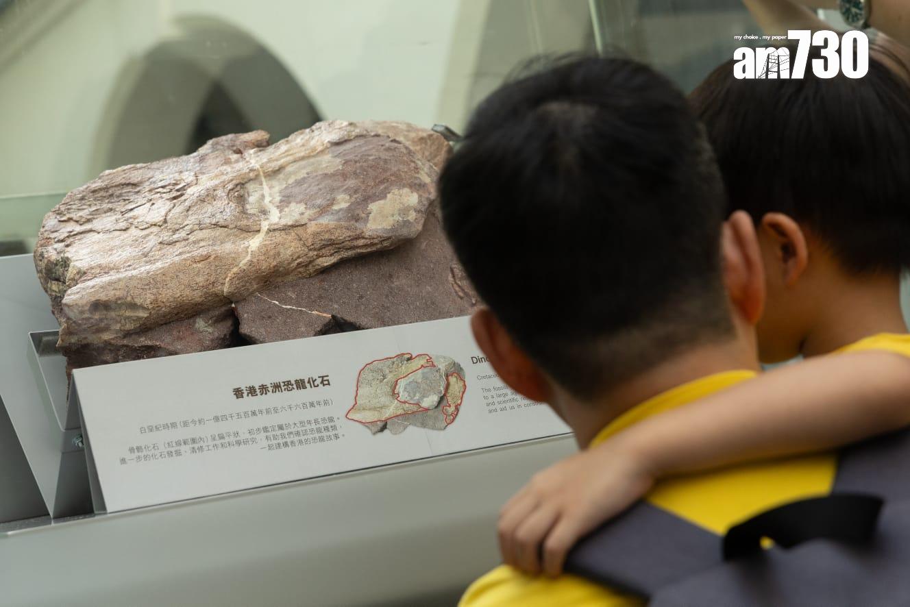 香港恐龍化石|專家料在荔枝莊及八仙嶺有機會找到恐龍化石