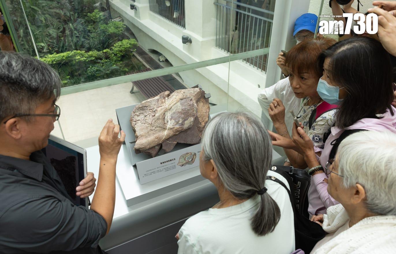 香港恐龍化石|專家料在荔枝莊及八仙嶺有機會找到恐龍化石
