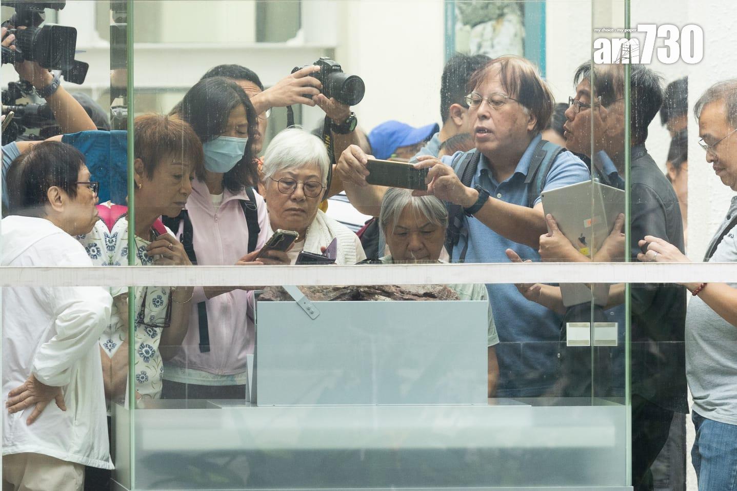 香港恐龍化石|專家料在荔枝莊及八仙嶺有機會找到恐龍化石
