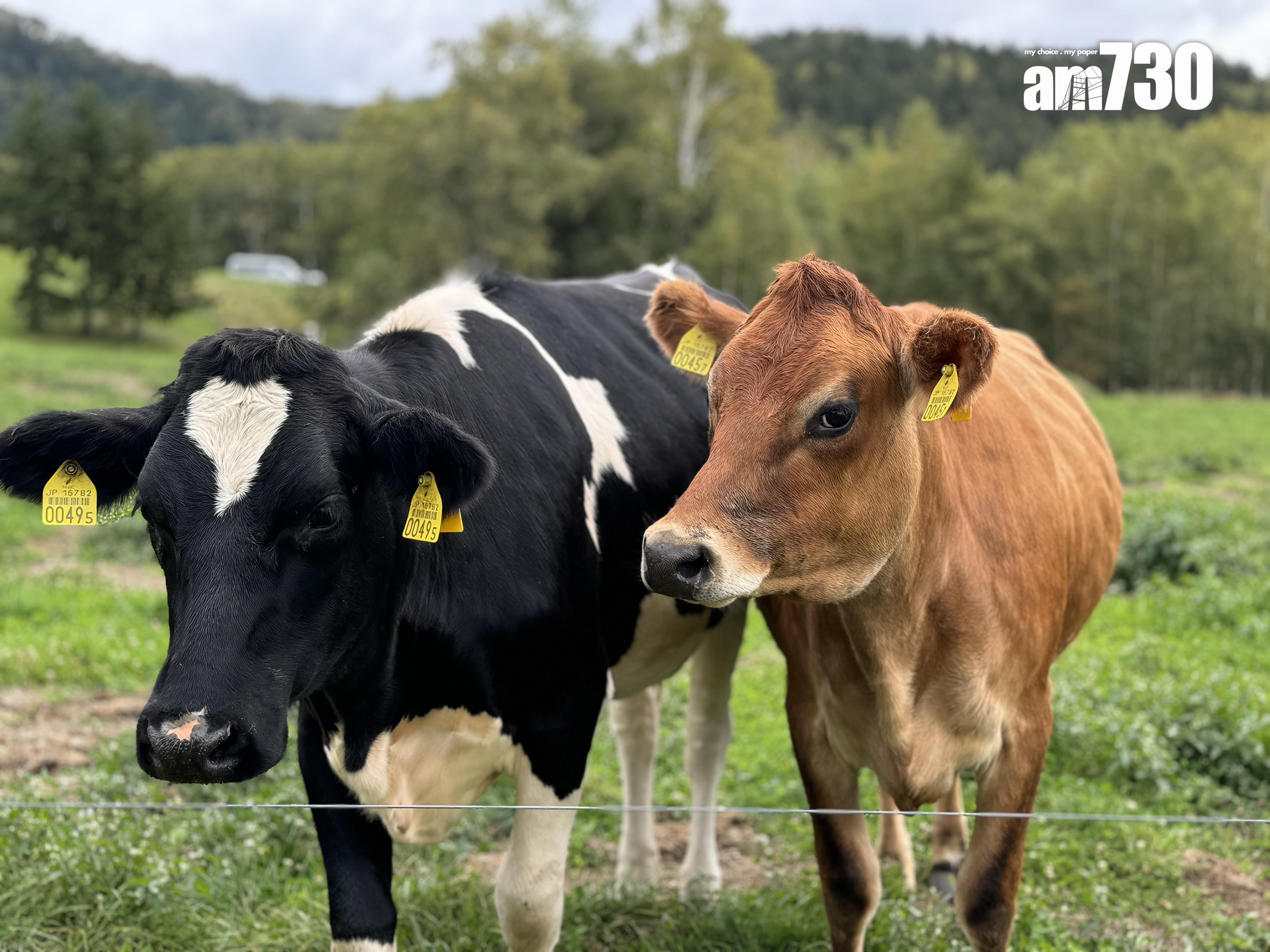 自駕高爾夫球車兜風