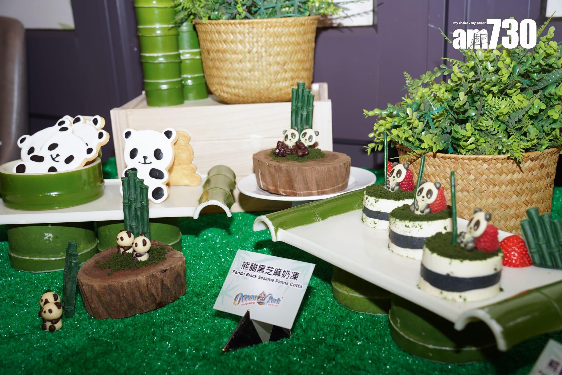 大熊貓安安可可抵港一周 逐步適應香港環境 料最快12月中與巿民見面 (吳康琦攝)