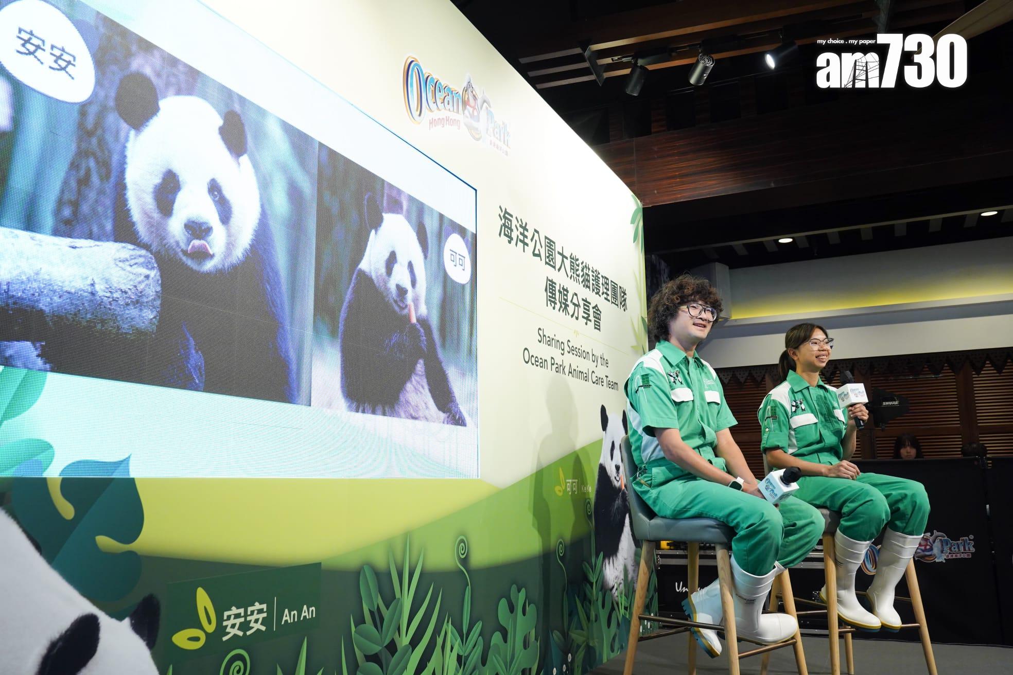 大熊貓安安可可抵港一周 逐步適應香港環境 料最快12月中與巿民見面 (吳康琦攝)