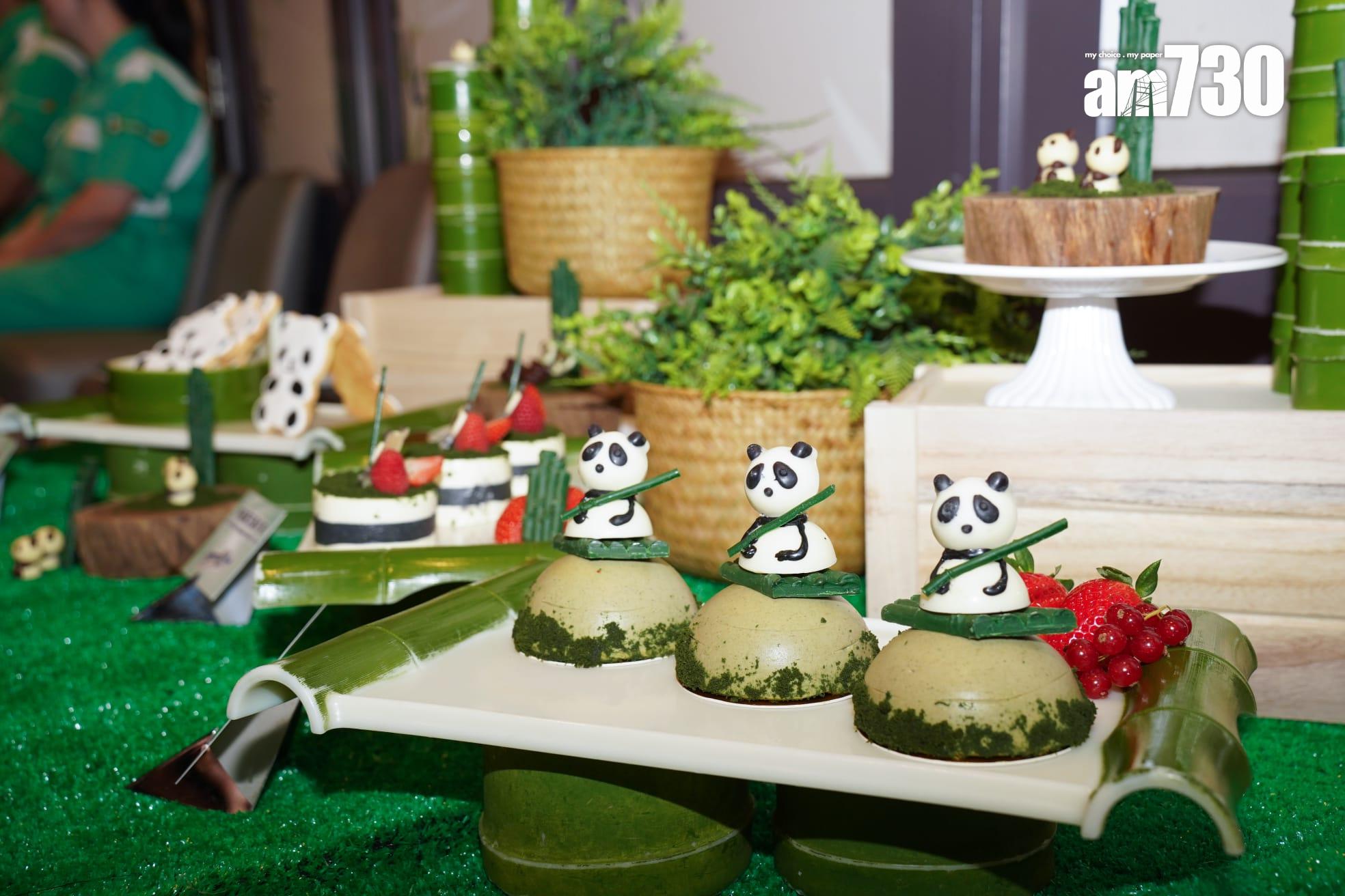 大熊貓安安可可抵港一周 逐步適應香港環境 料最快12月中與巿民見面 (吳康琦攝)