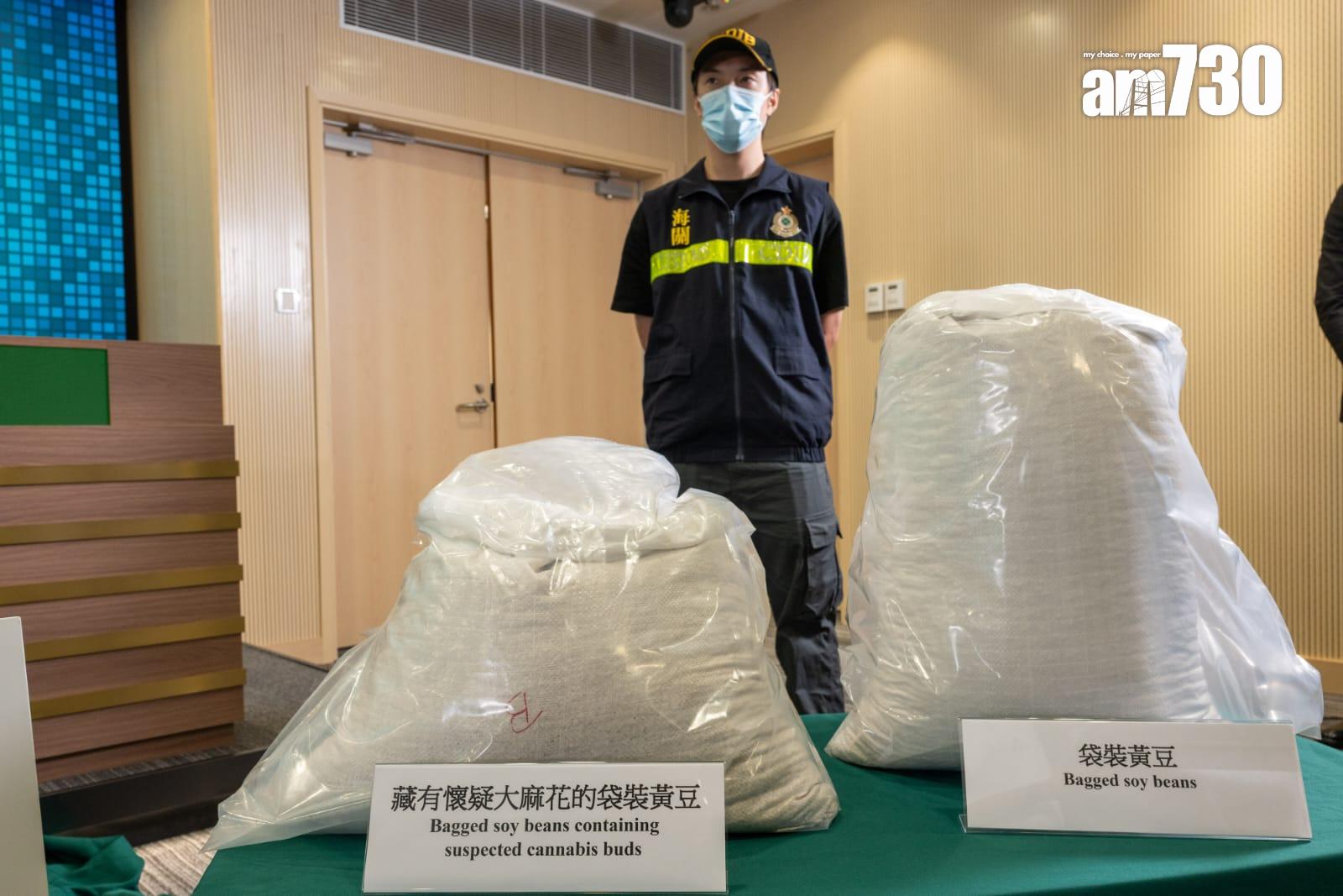 加拿大來港報稱運載黃豆貨櫃,海關檢市值1.3億元懷疑大麻花。(陳奕釗攝)