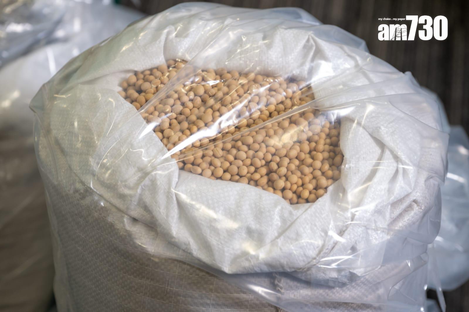 加拿大來港報稱運載黃豆貨櫃,海關檢市值1.3億元懷疑大麻花。(陳奕釗攝)