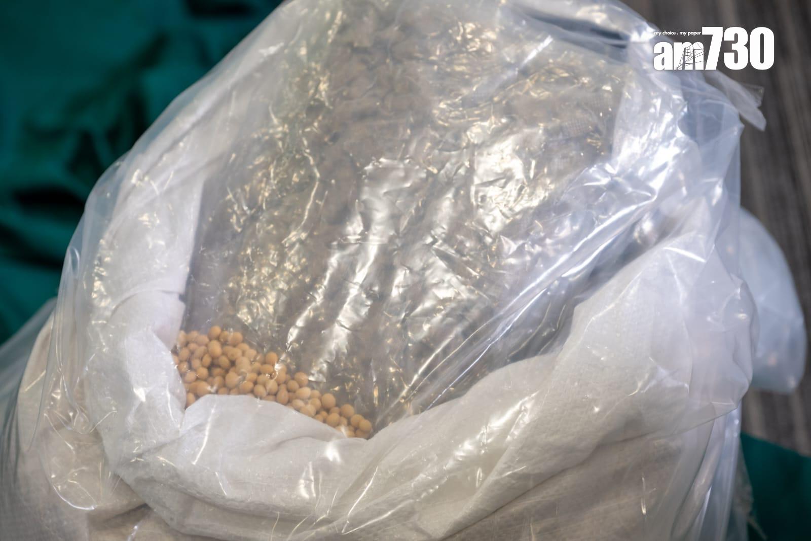 加拿大來港報稱運載黃豆貨櫃,海關檢市值1.3億元懷疑大麻花。(陳奕釗攝)