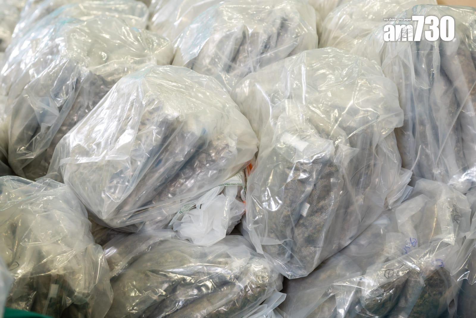 加拿大來港報稱運載黃豆貨櫃,海關檢市值1.3億元懷疑大麻花。(陳奕釗攝)