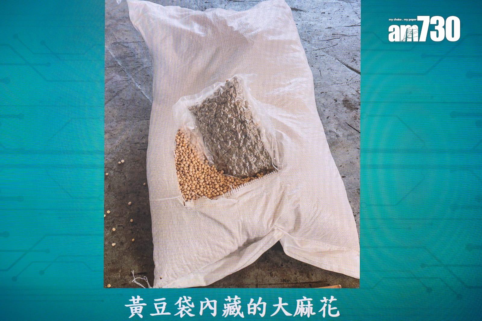 加拿大來港報稱運載黃豆貨櫃,海關檢市值1.3億元懷疑大麻花。(陳奕釗攝)