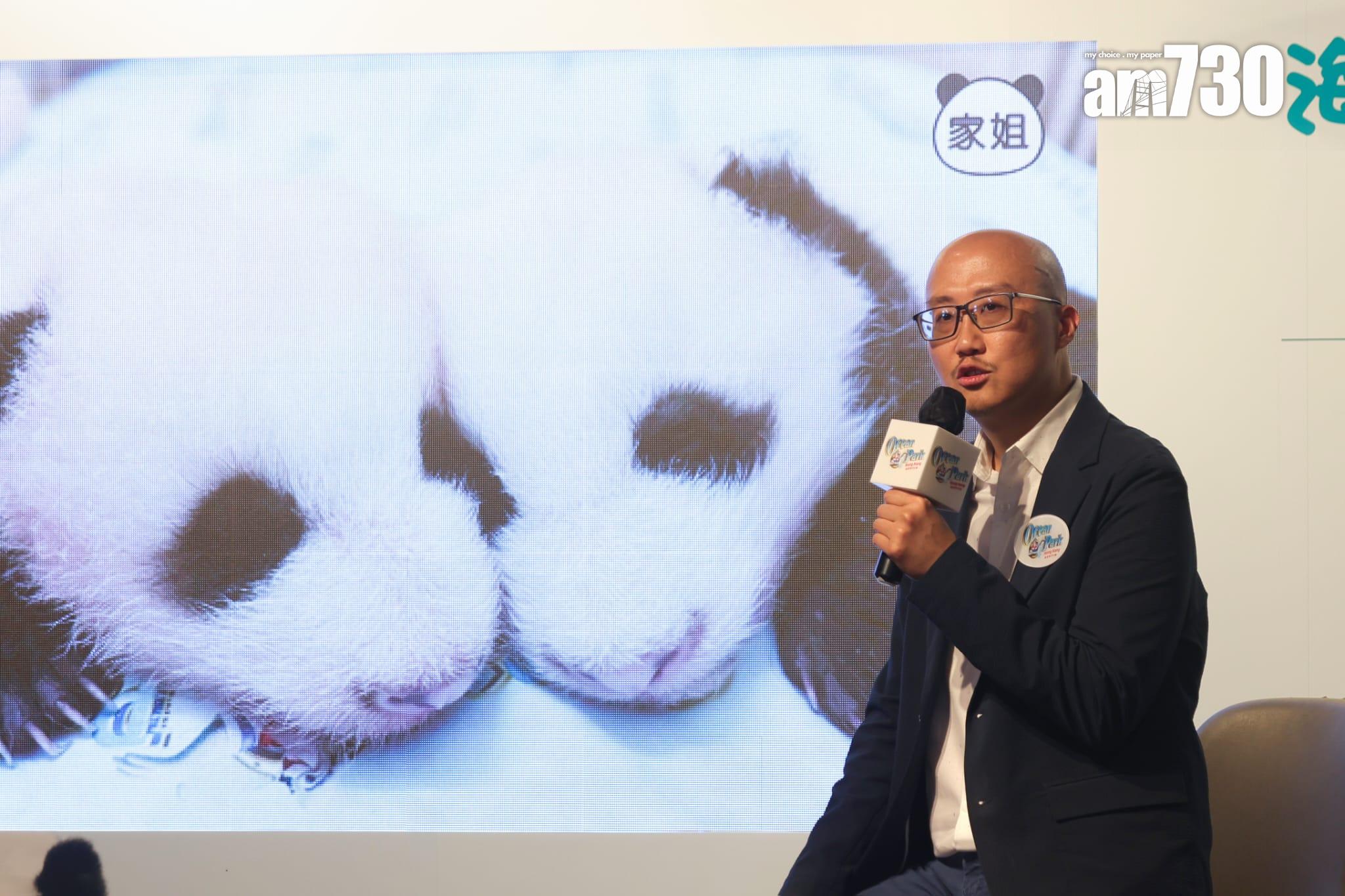 大熊貓龍鳳胎已開眼,預計農曆新年前後可與公眾見面。(吳康琦攝)