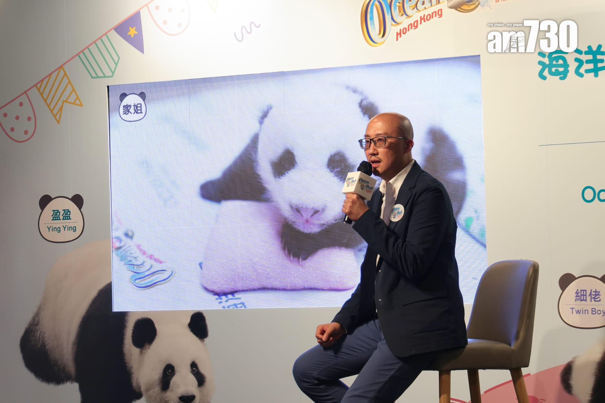 大熊貓龍鳳胎已開眼,預計農曆新年前後可與公眾見面。(吳康琦攝)