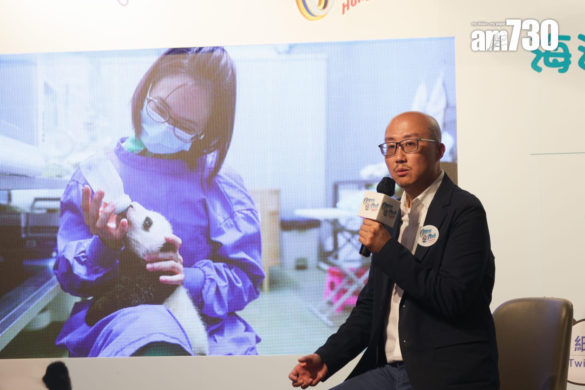 大熊貓龍鳳胎已開眼,預計農曆新年前後可與公眾見面。(吳康琦攝)