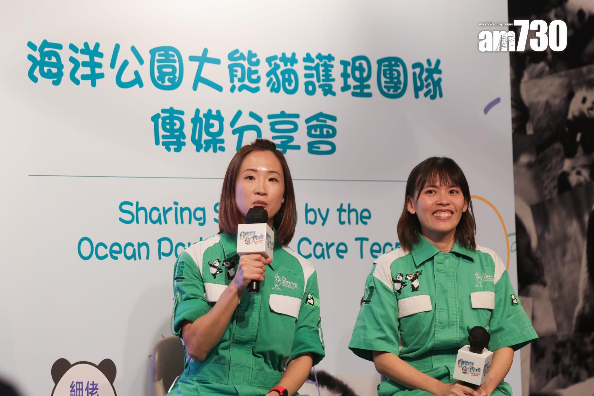 大熊貓龍鳳胎已開眼,預計農曆新年前後可與公眾見面。(吳康琦攝)